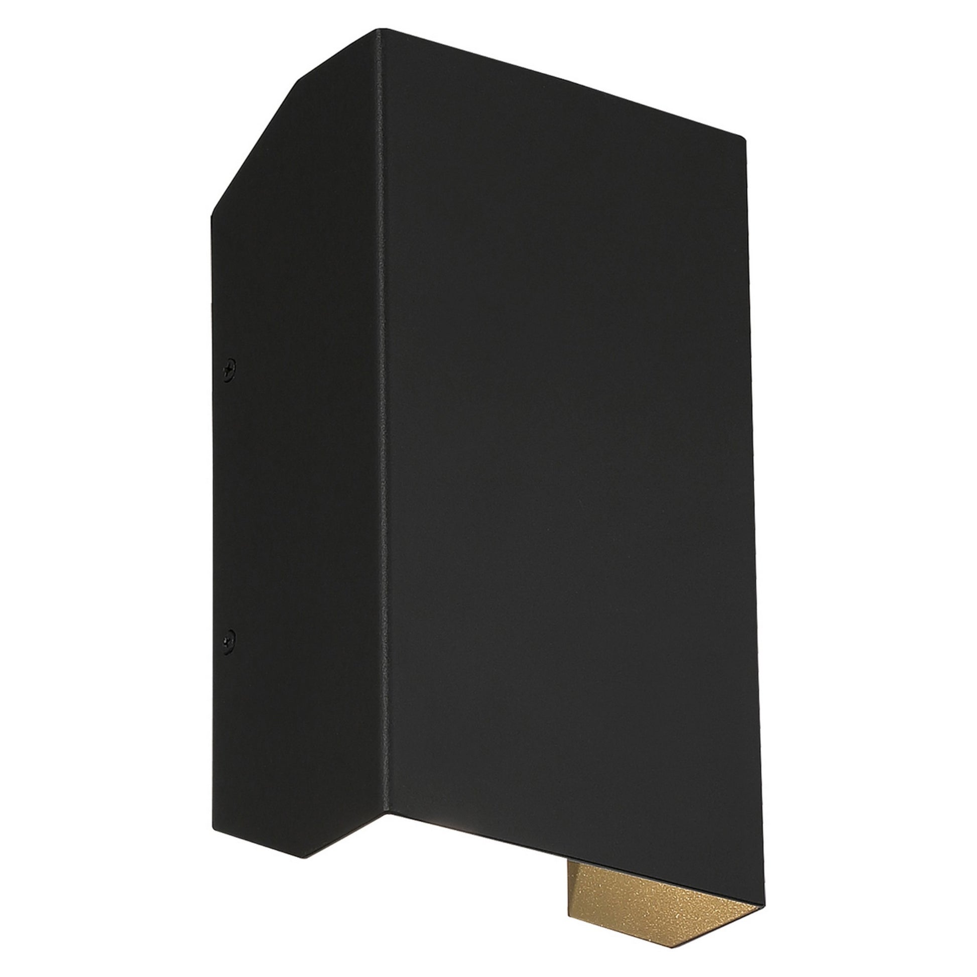 Amora 10"H LED Outdoor Wall Sconce, Black Finish - Bees Lighting