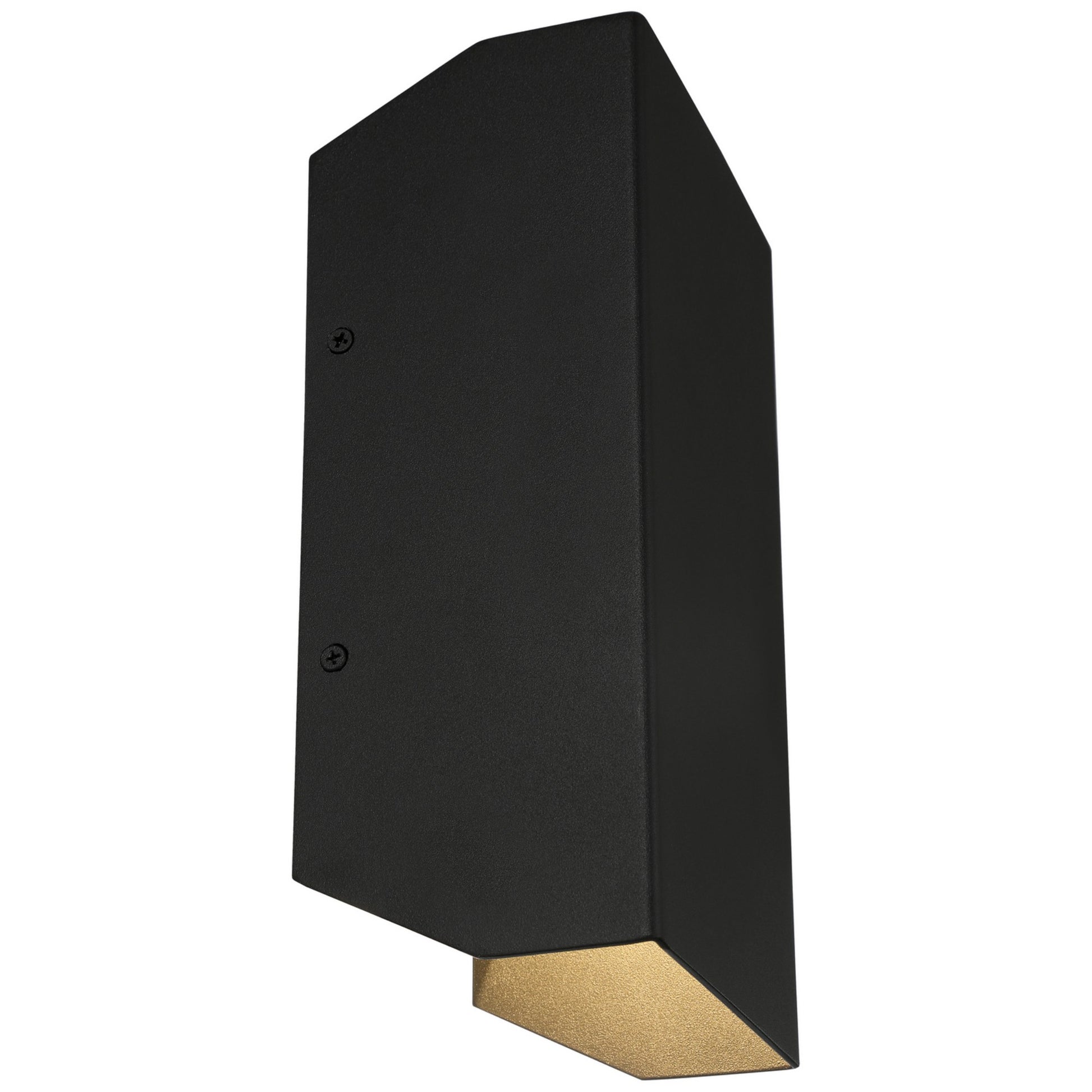 Amora 10"H LED Outdoor Wall Sconce, Black Finish - Bees Lighting