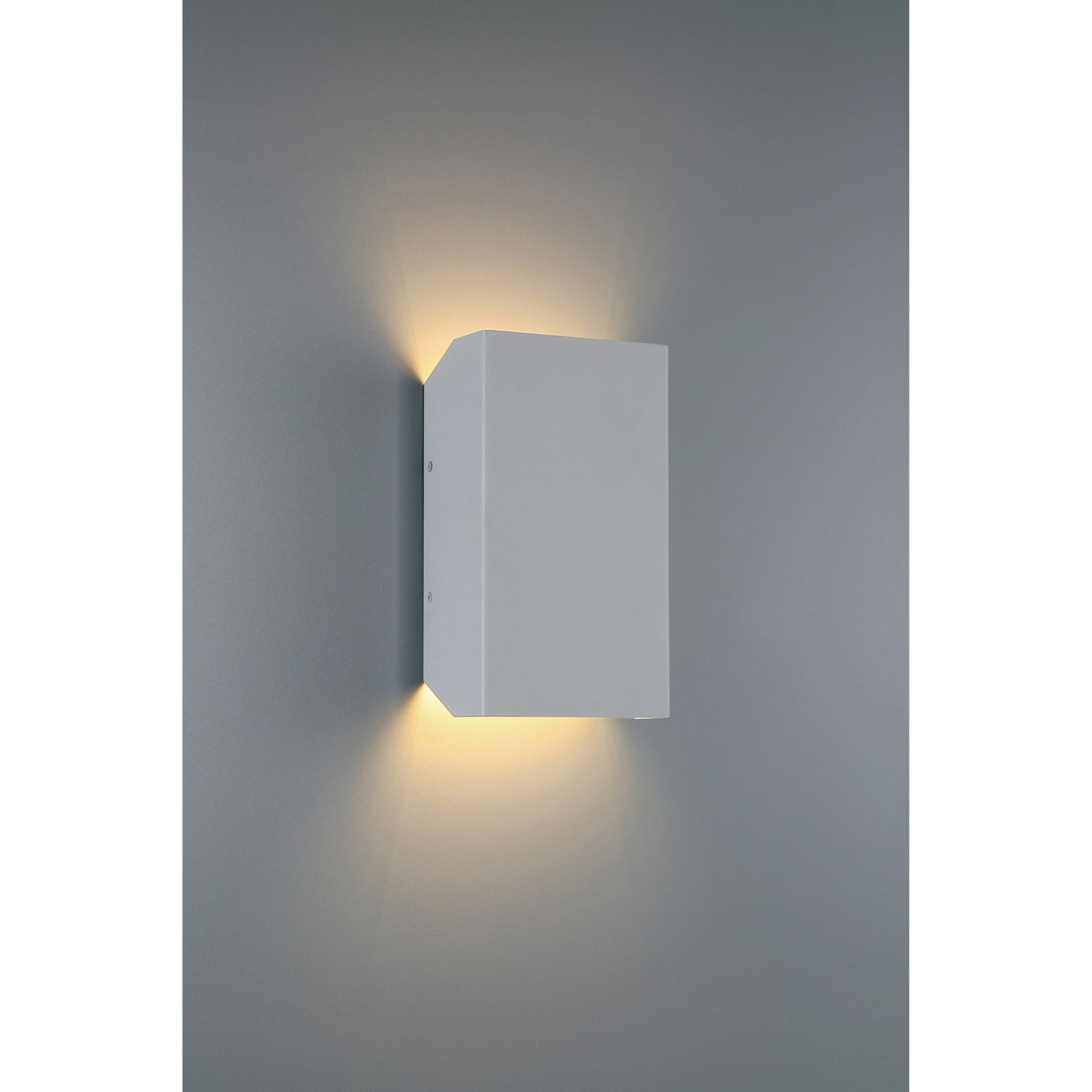 Amora 10"H LED Outdoor Wall Sconce, Satin Finish - Bees Lighting