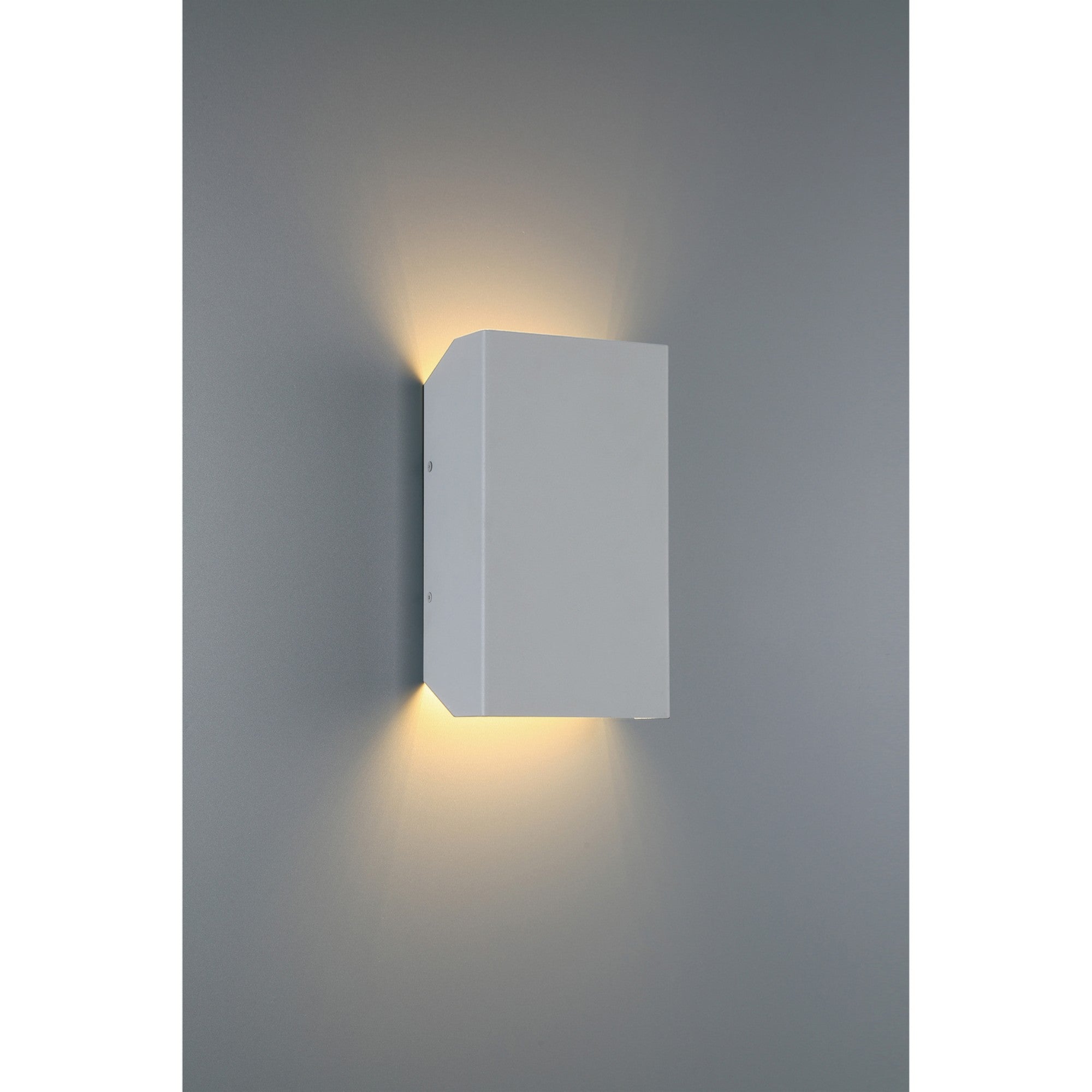 Amora 10"H LED Outdoor Wall Sconce, Satin Finish - Bees Lighting