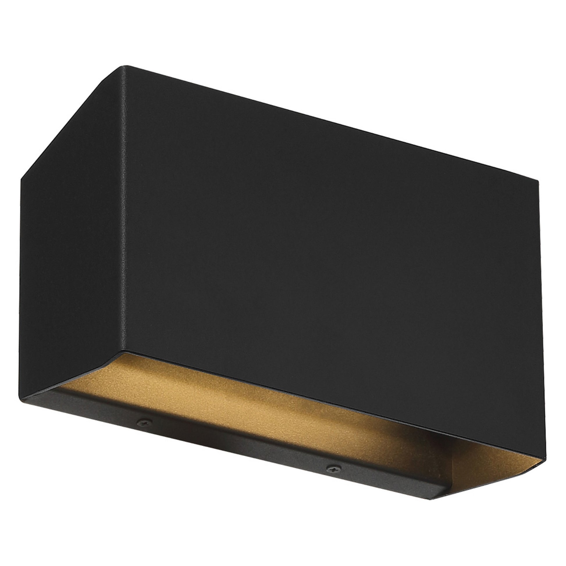 Amora 9"W LED Outdoor Wall Sconce, Black Finish - Bees Lighting