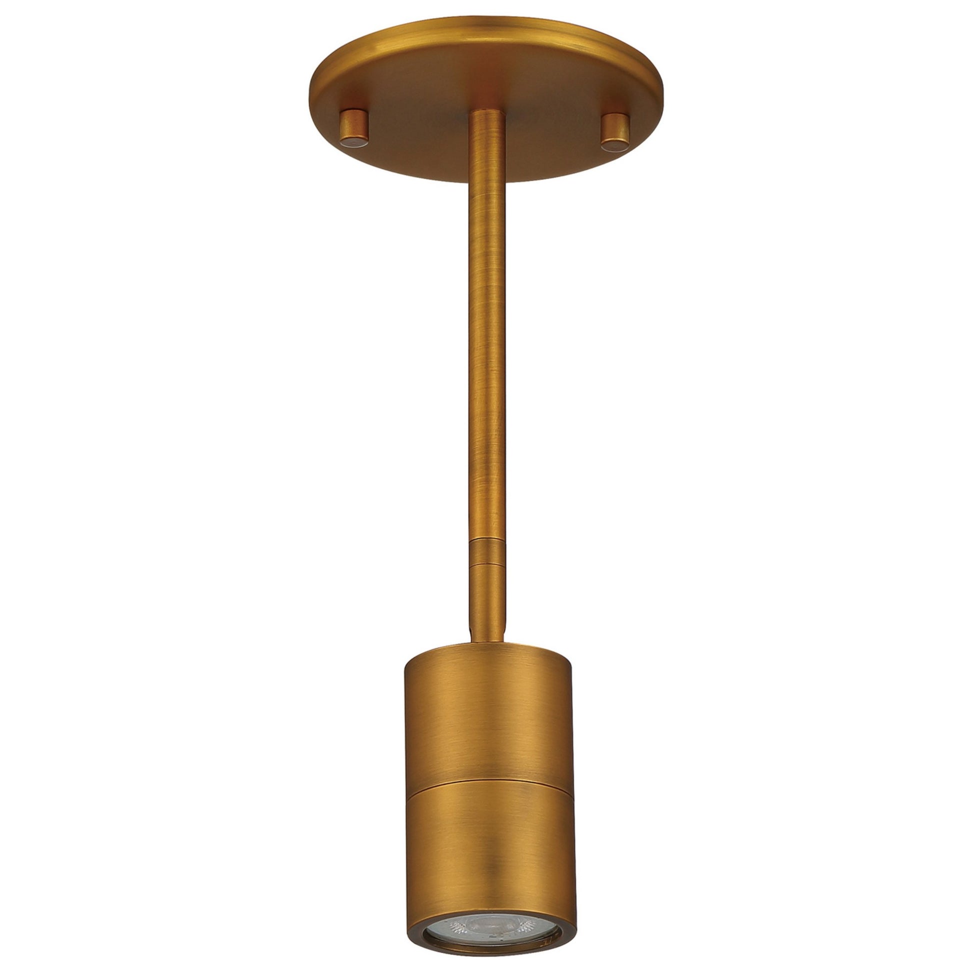 Cafe Dual Mount 4" LED Wall/Ceiling Spotlight, Antique Brushed Brass Finish - Bees Lighting