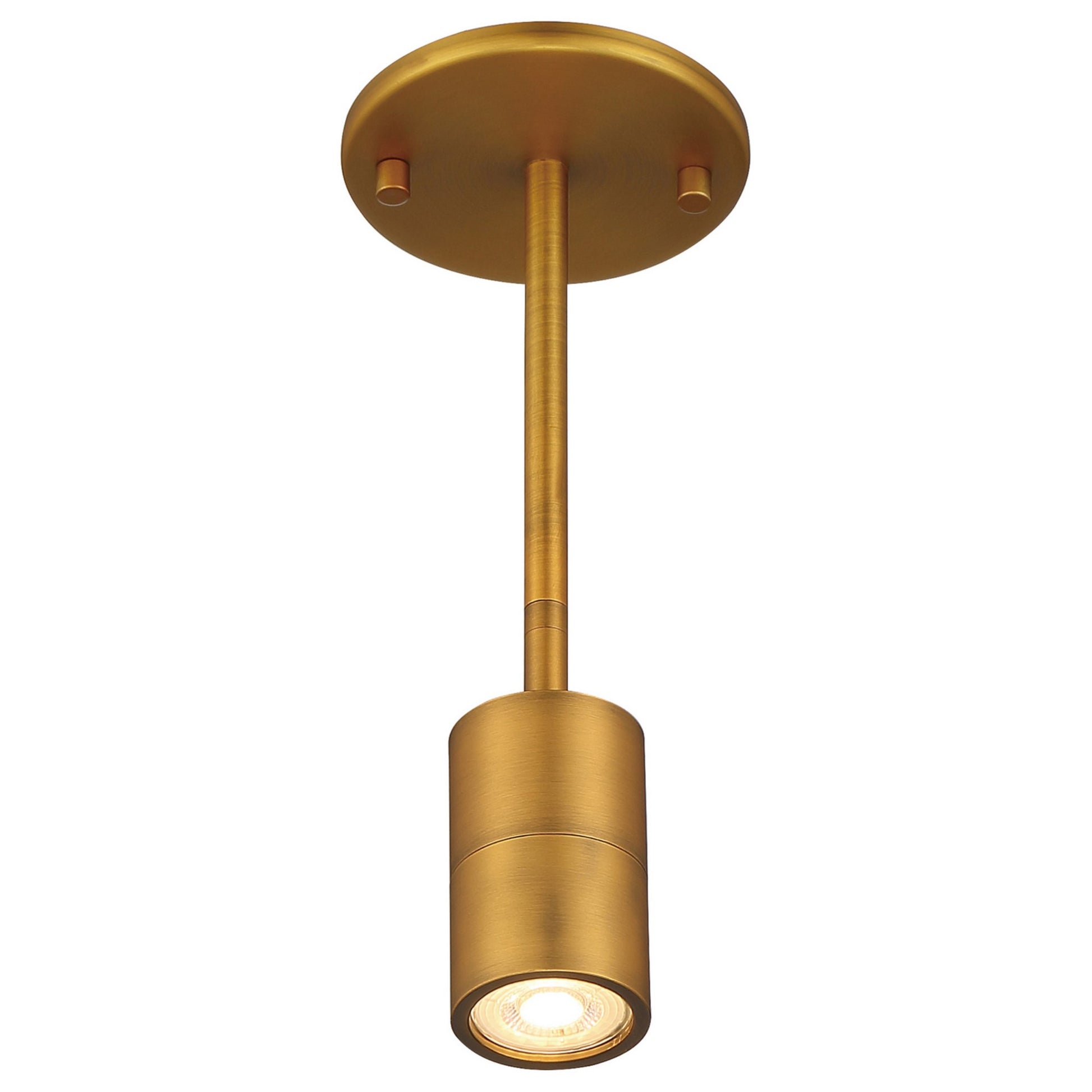 Cafe Dual Mount 4" LED Wall/Ceiling Spotlight, Antique Brushed Brass Finish - Bees Lighting