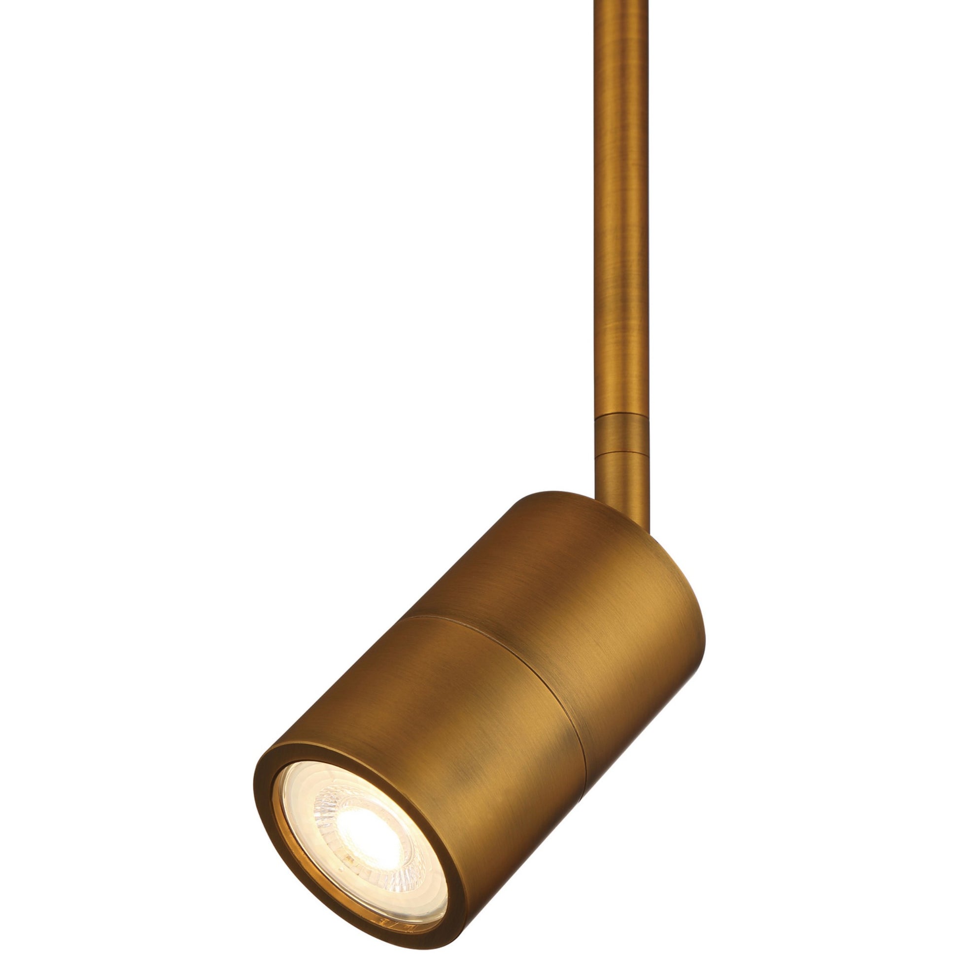 Cafe Dual Mount 4" LED Wall/Ceiling Spotlight, Antique Brushed Brass Finish - Bees Lighting