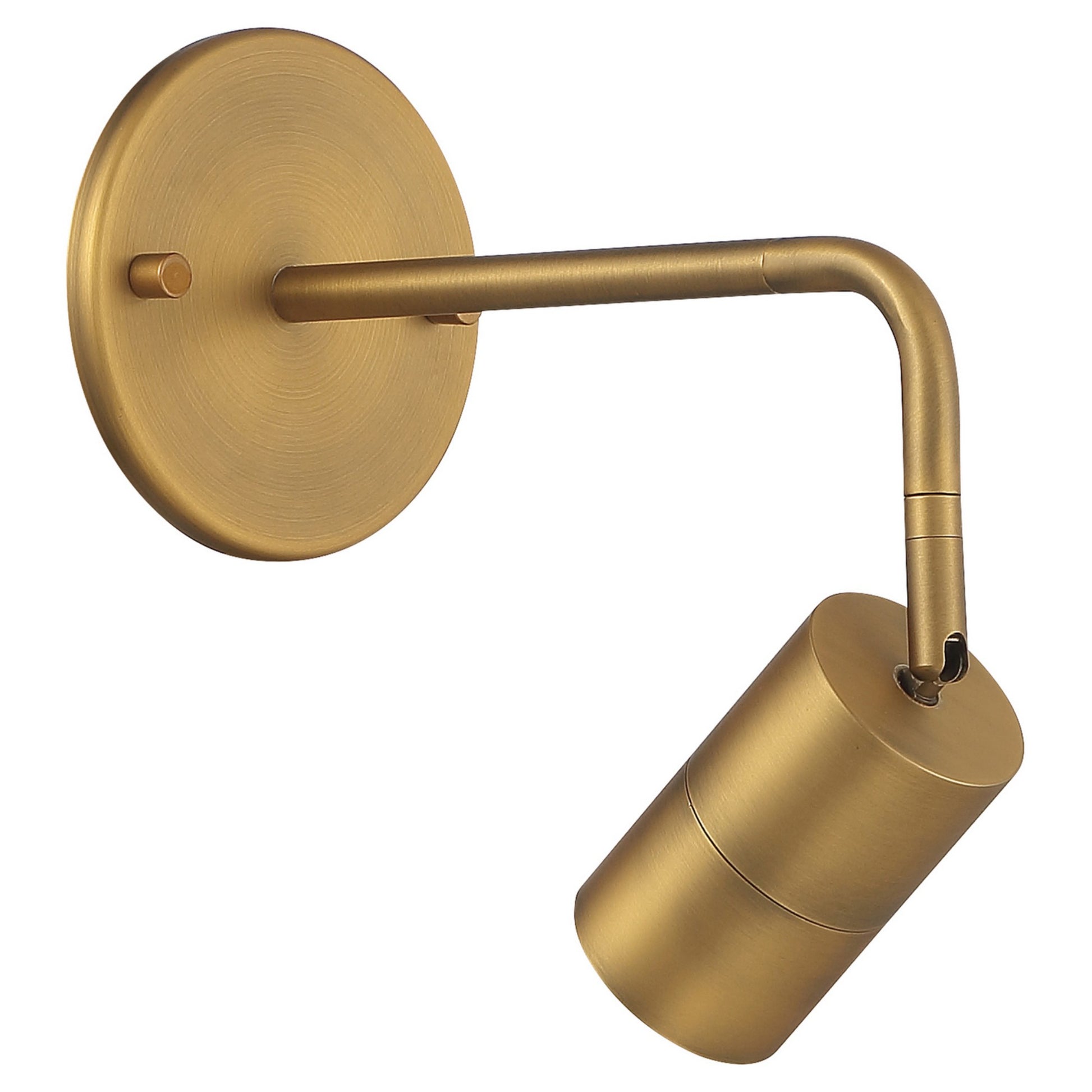 Cafe Dual Mount 4" LED Wall/Ceiling Spotlight, Antique Brushed Brass Finish - Bees Lighting