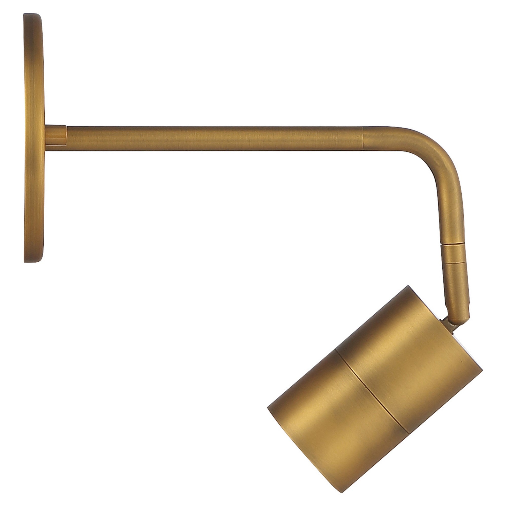 Cafe Dual Mount 4" LED Wall/Ceiling Spotlight, Antique Brushed Brass Finish - Bees Lighting