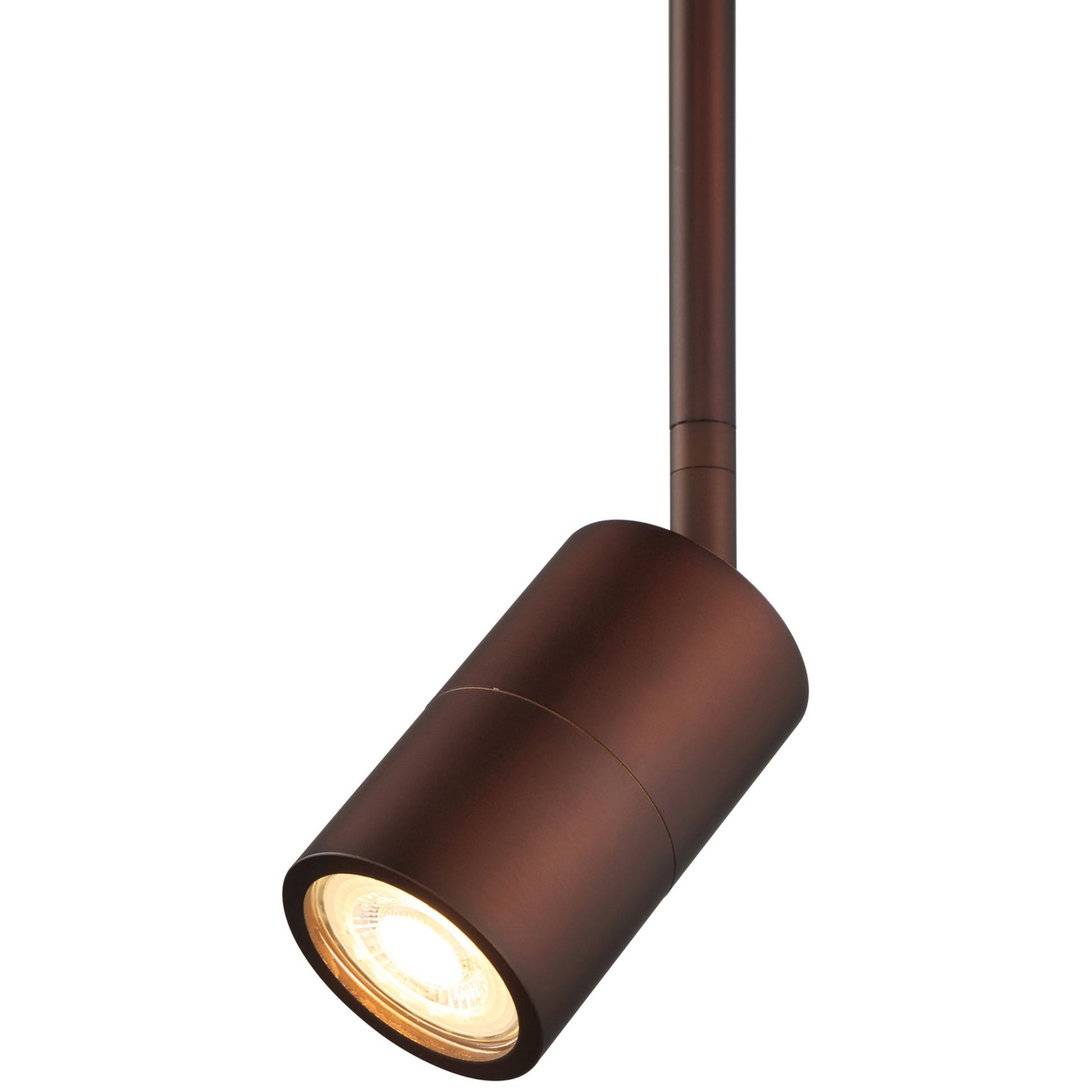 Cafe Dual Mount 4" LED Wall/Ceiling Spotlight, Bronze Finish - Bees Lighting