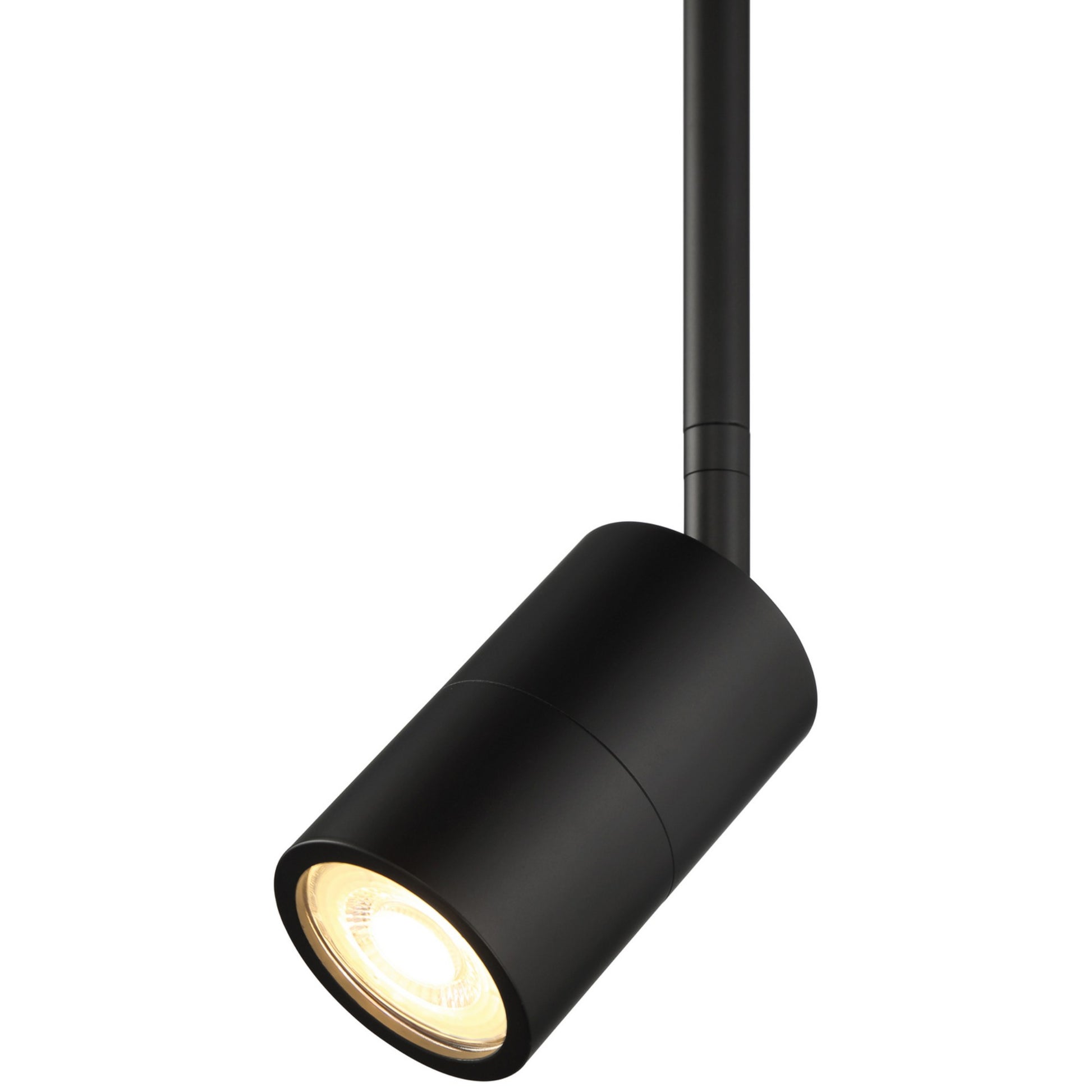 Cafe Dual Mount 4" LED Wall/Ceiling Spotlight, Matte Black Finish - Bees Lighting