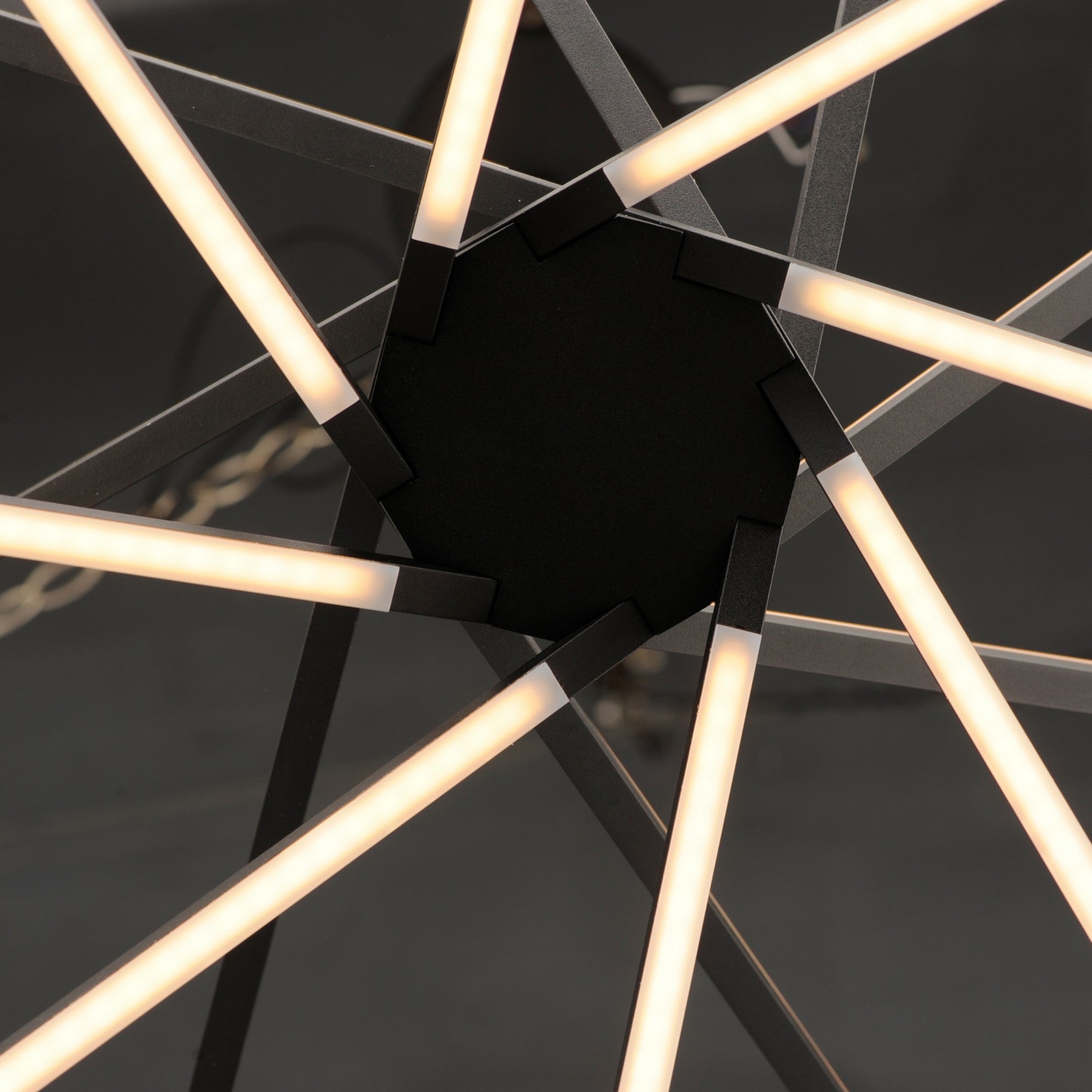 Alumilux Aster " 8-Light LED Pendant, Black Finish - Bees Lighting