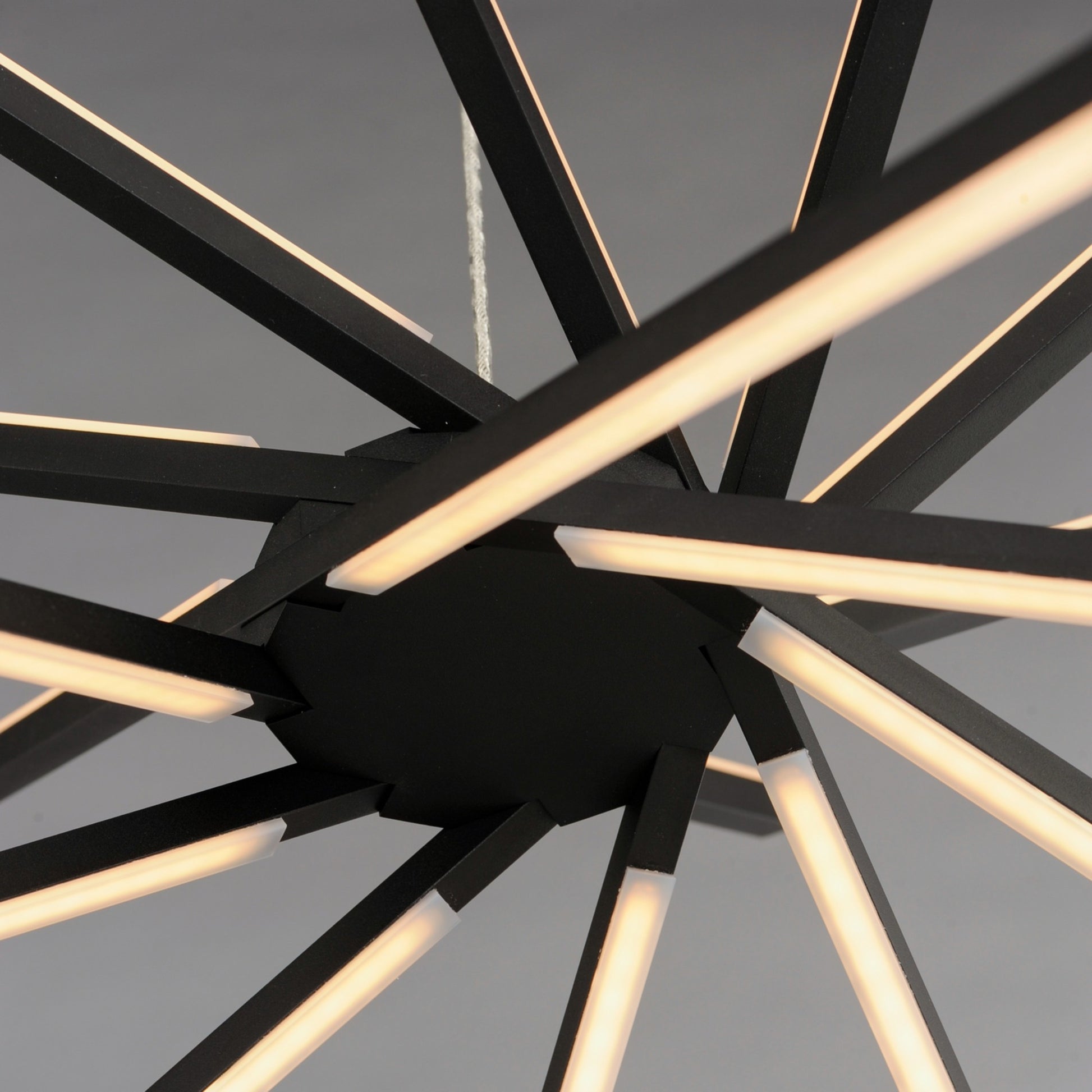 Alumilux Aster " 8-Light LED Pendant, Black Finish - Bees Lighting