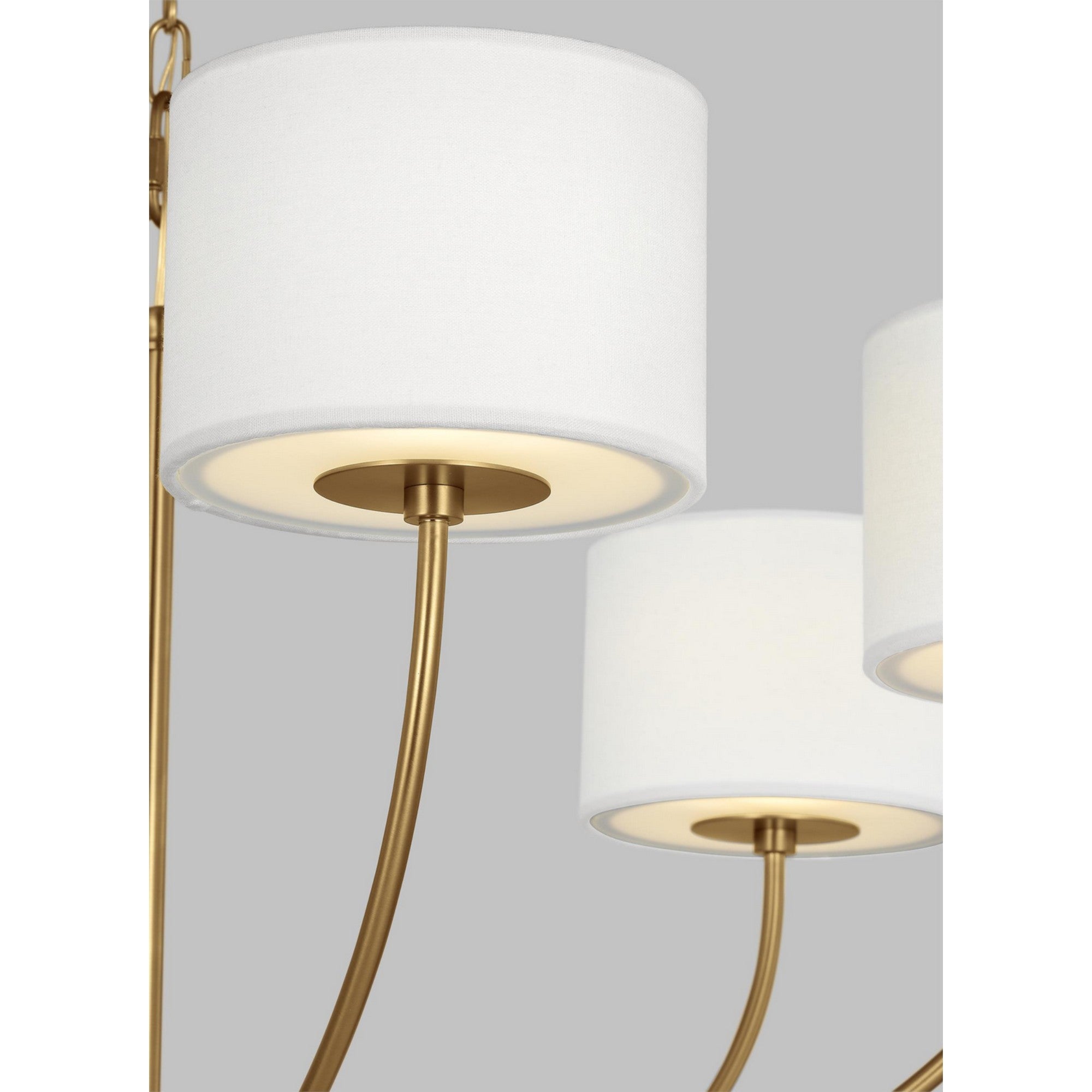 Sawyer 36" 6-Light Chandelier, Brushed Brass finish - Bees Lighting