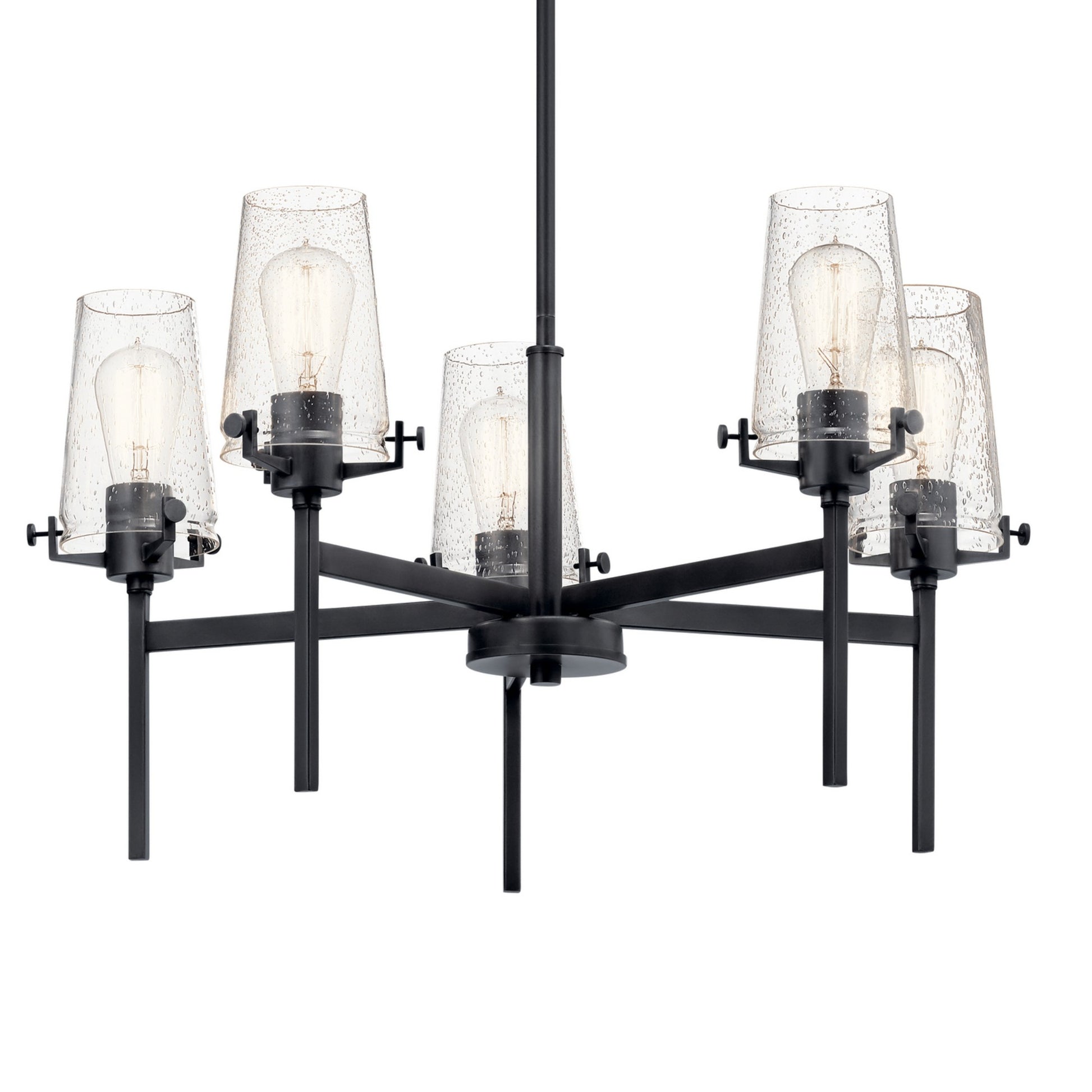 Alton 27" 5-Light Chandelier, Black Finish - Bees Lighting