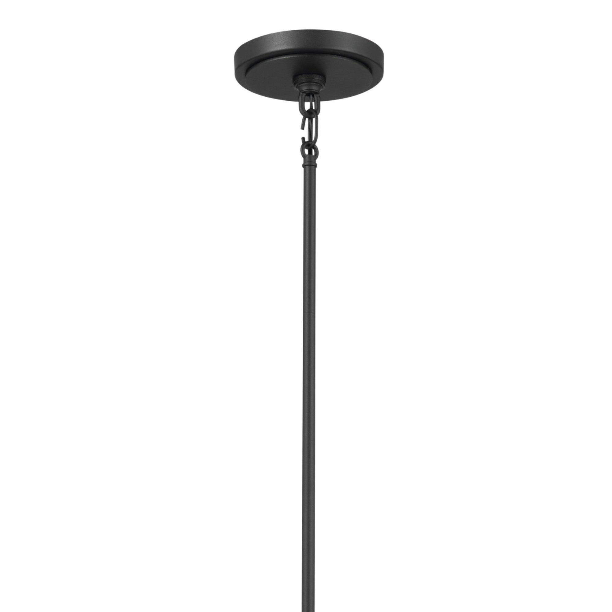 Freesia 38" 8-Light Chandelier, Textured Black Finish - Bees Lighting