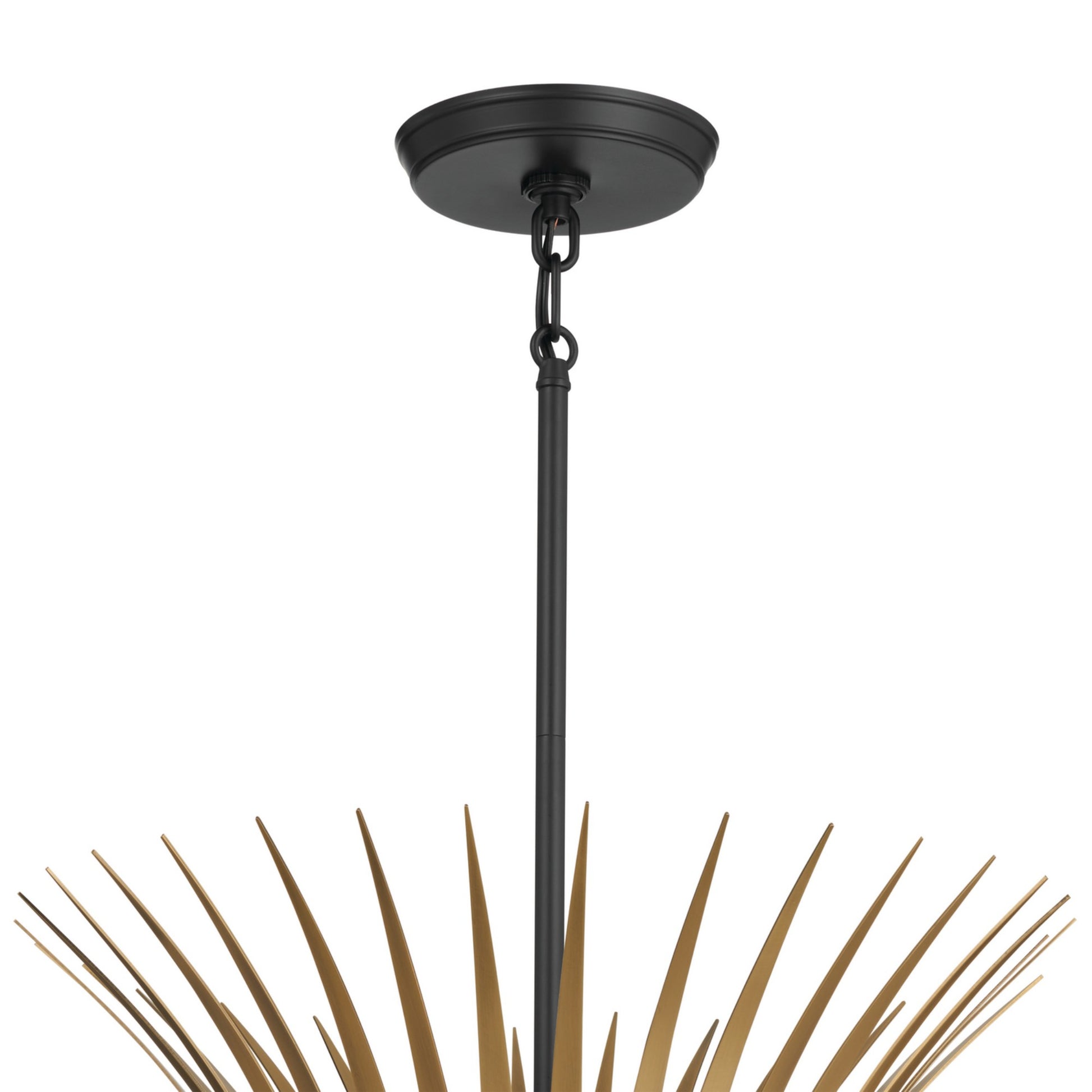 Baile 29" 6-Light Chandelier, Black Finish - Bees Lighting
