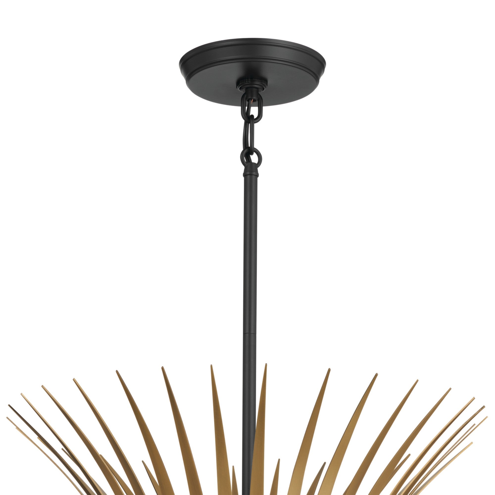 Baile 29" 6-Light Chandelier, Black Finish - Bees Lighting