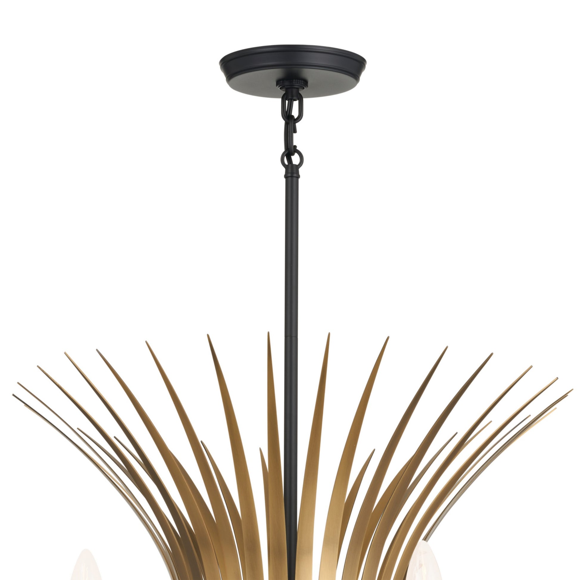 Baile 37" 10-Light Chandelier, Black Finish - Bees Lighting