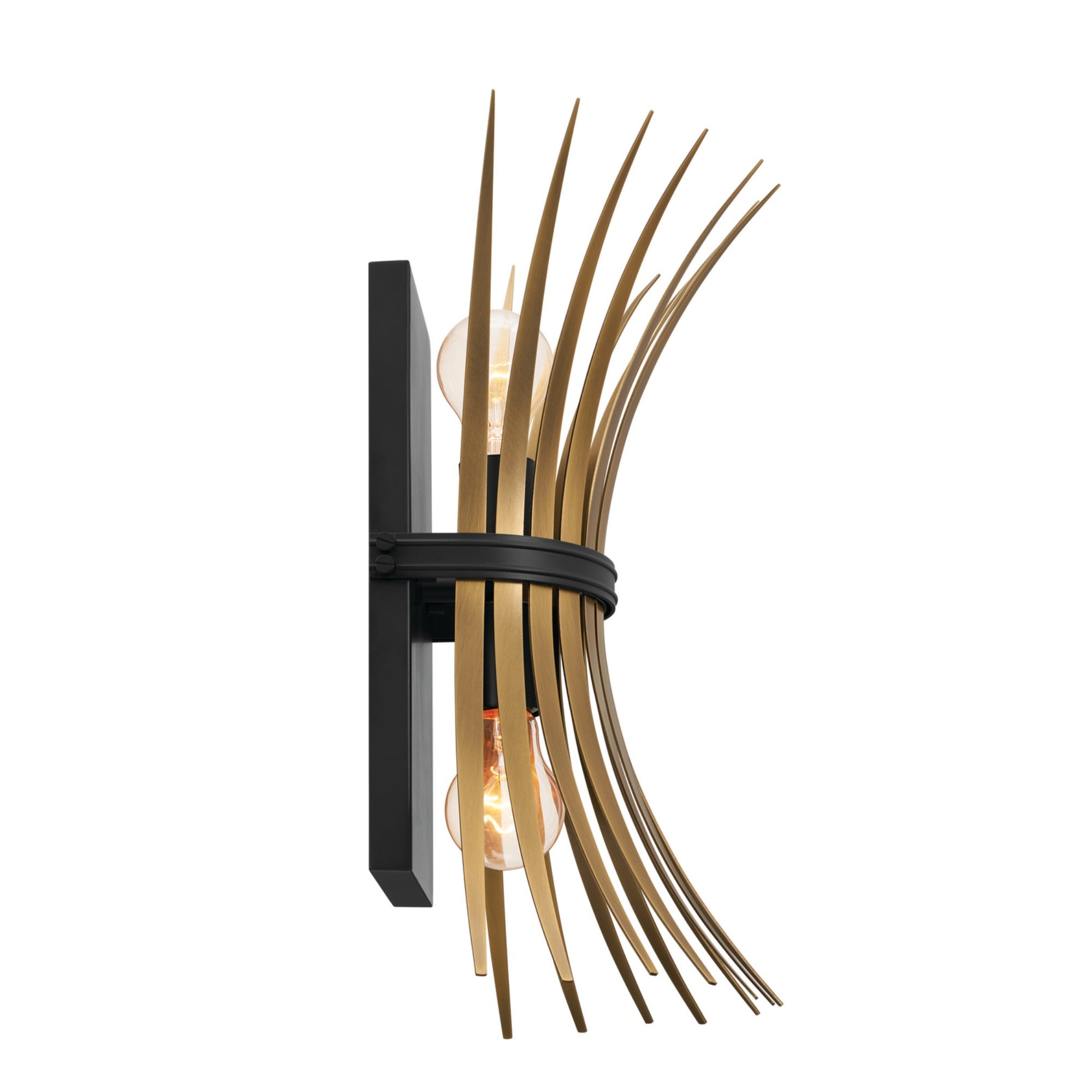 Baile 16" 2-Light Wall Sconce, Black Finish - Bees Lighting