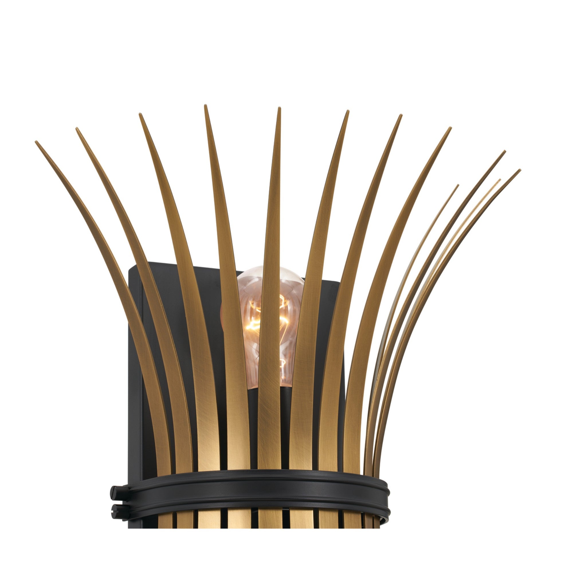 Baile 16" 2-Light Wall Sconce, Black Finish - Bees Lighting