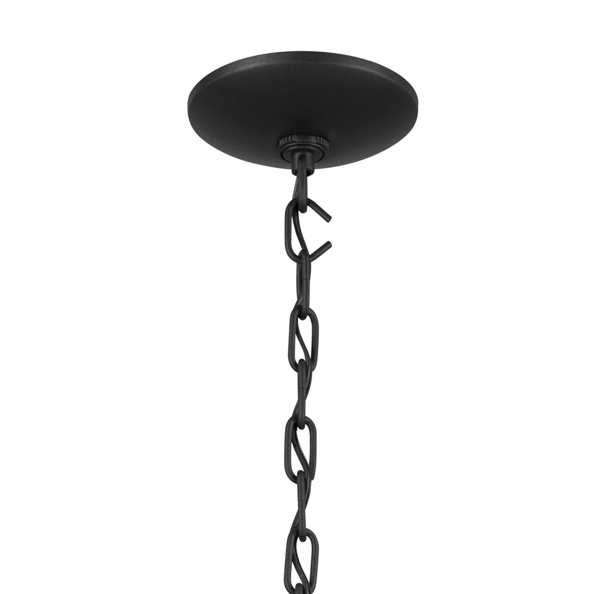 Opal 12" 2-Light Pendant, Textured Black Finish - Bees Lighting