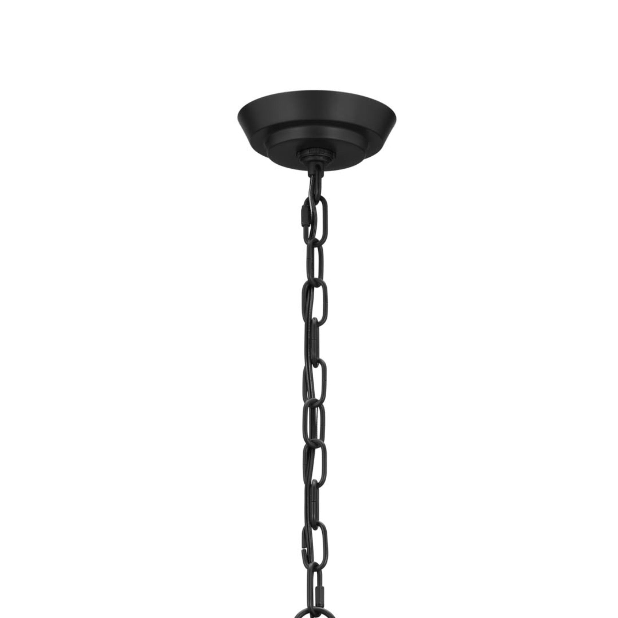 Truby 29" 6-Light Chandelier, Black Finish - Bees Lighting