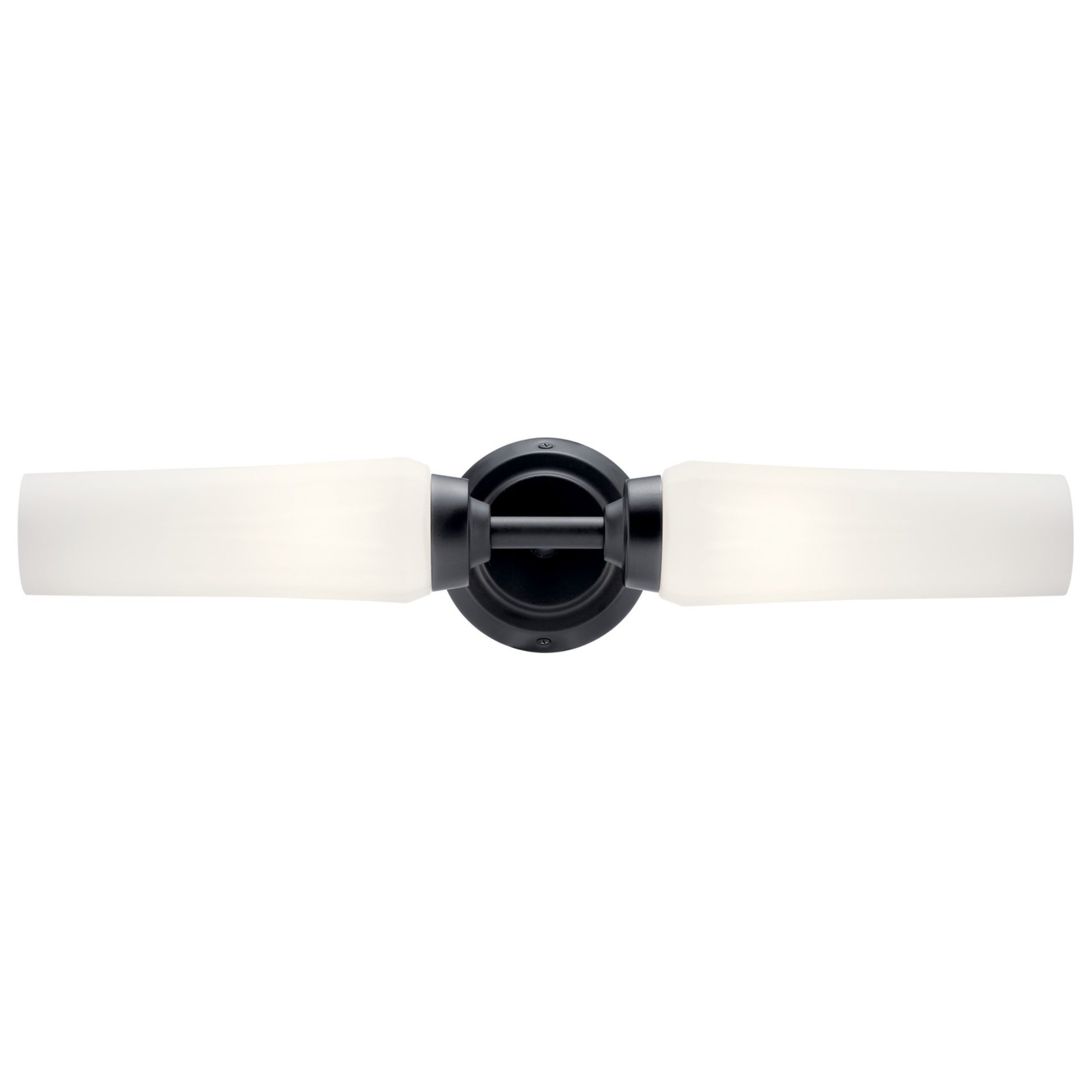 Truby 21" 2-Light Wall Sconce, Black Finish - Bees Lighting