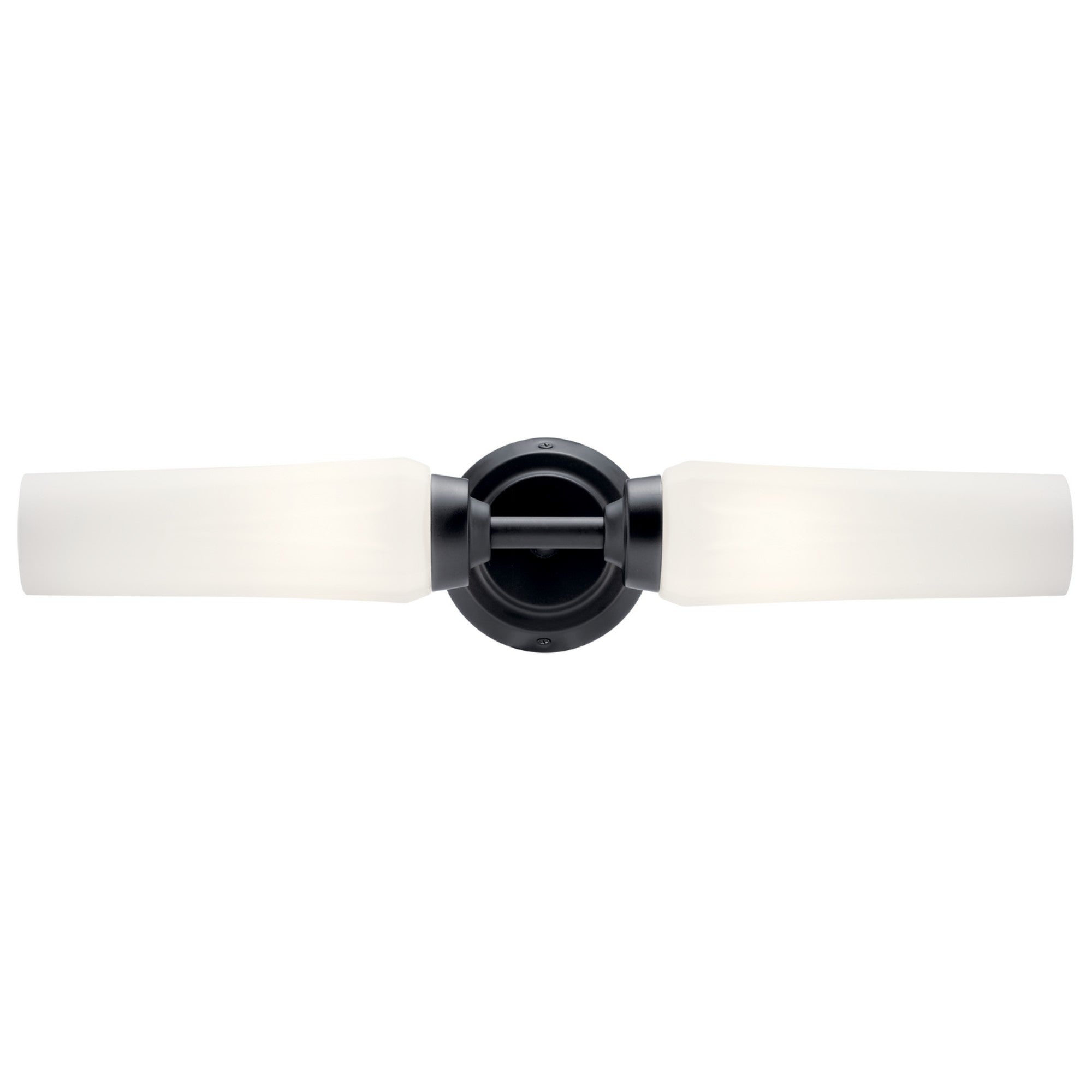 Truby 21" 2-Light Wall Sconce, Black Finish - Bees Lighting