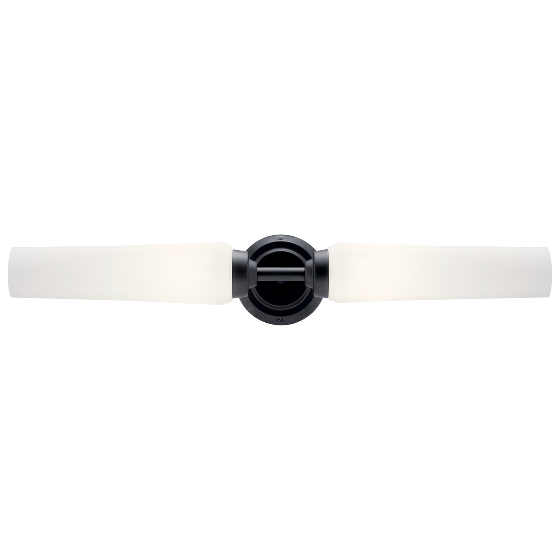 Truby 26" 2-Light Bath Vanity Light, Black Finish - Bees Lighting