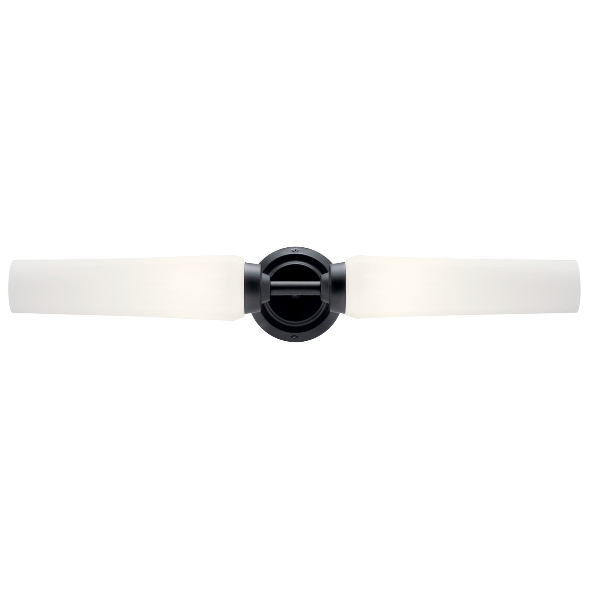 Truby 26" 2-Light Bath Vanity Light, Black Finish - Bees Lighting