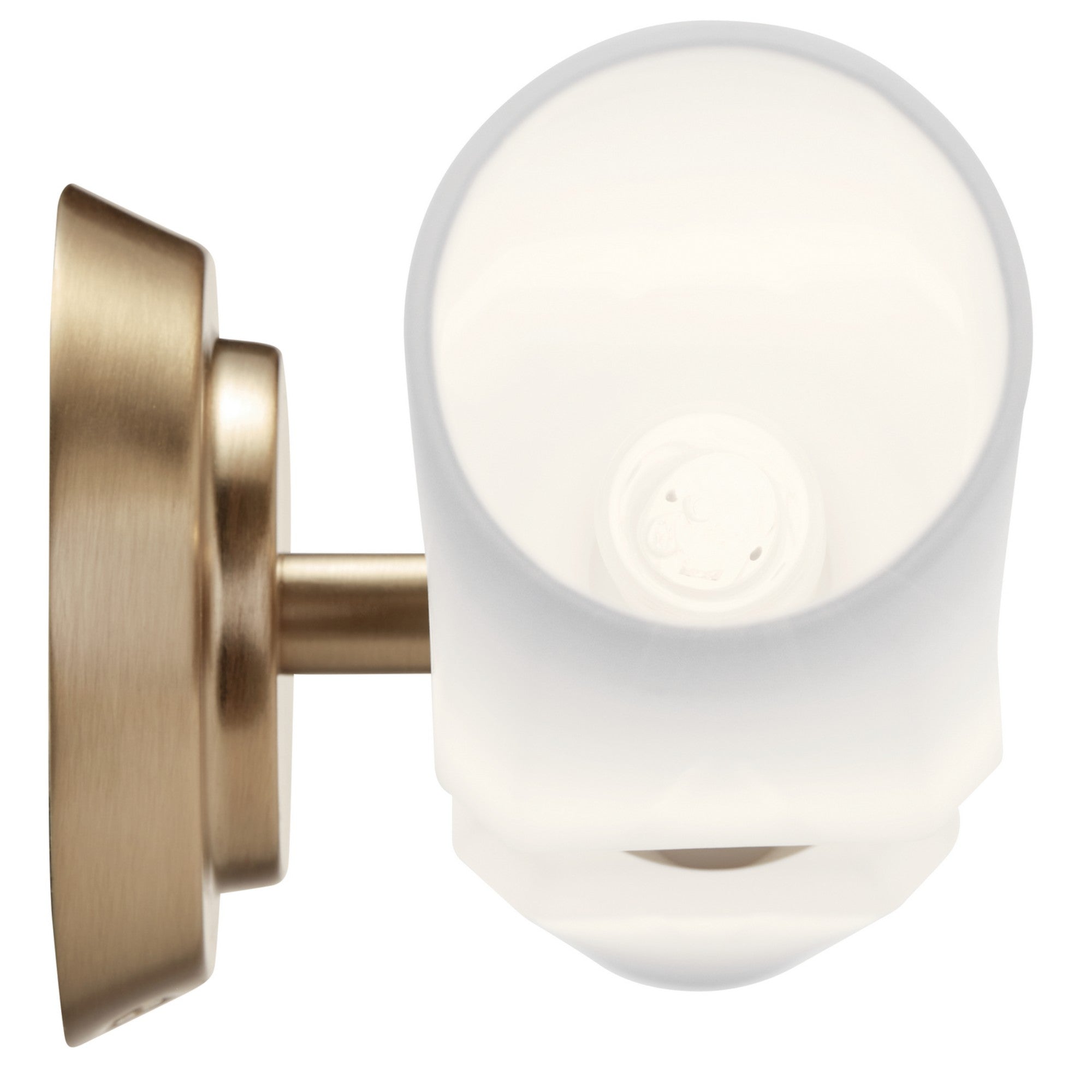 Truby 26" 2-Light Bath Vanity Light, Champagne Bronze Finish - Bees Lighting