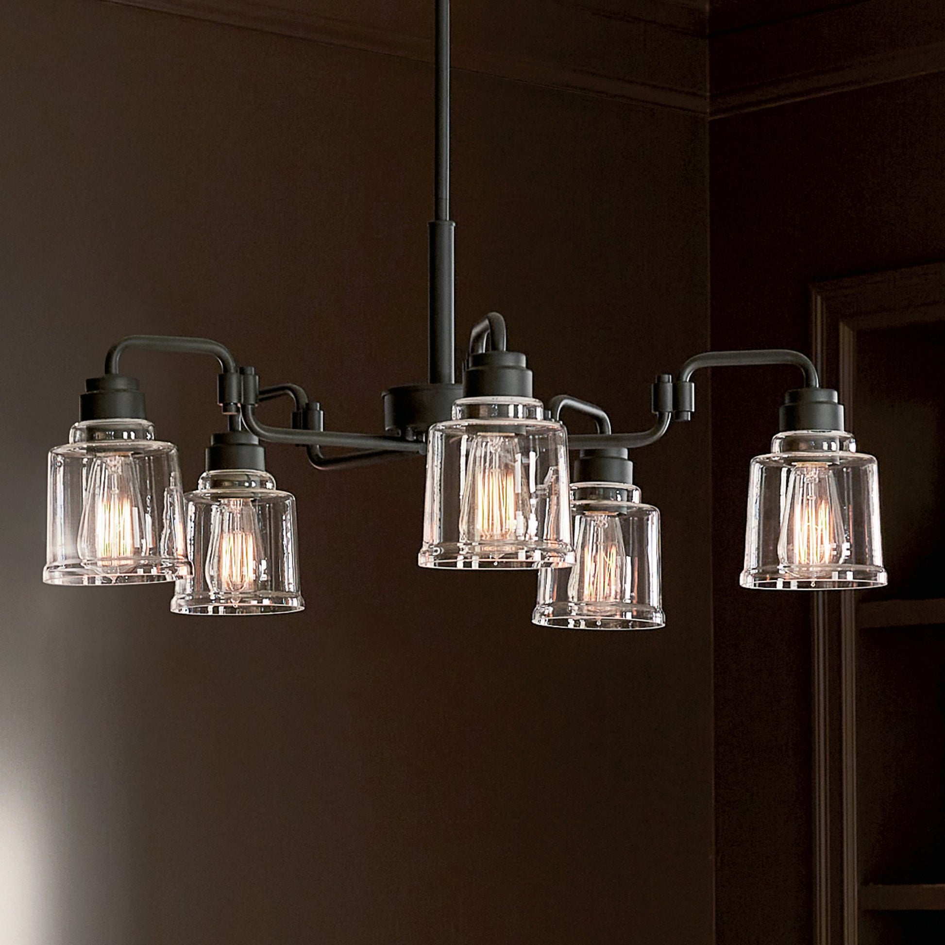 Aivian 30" 5-Light Chandelier, Black Finish - Bees Lighting
