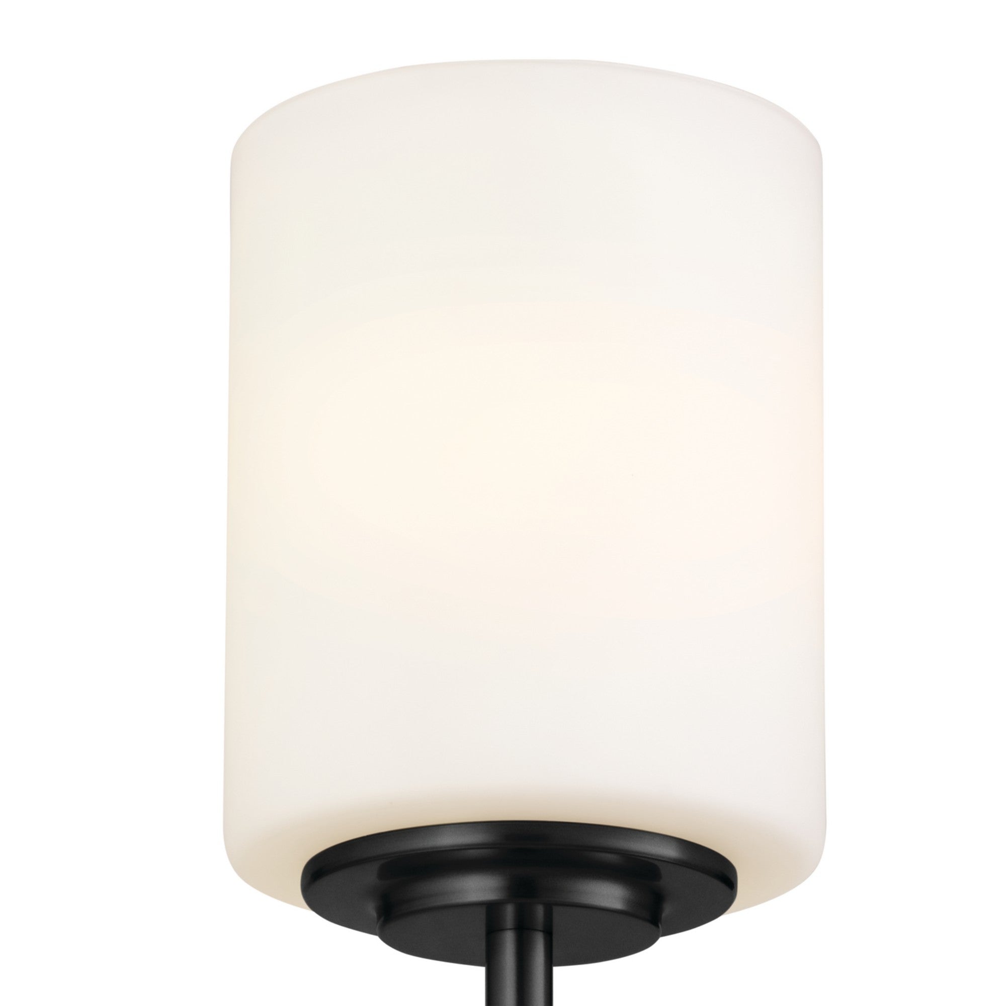 Ali 5" Wall Sconce, Black Finish, Glass Shade - Bees Lighting