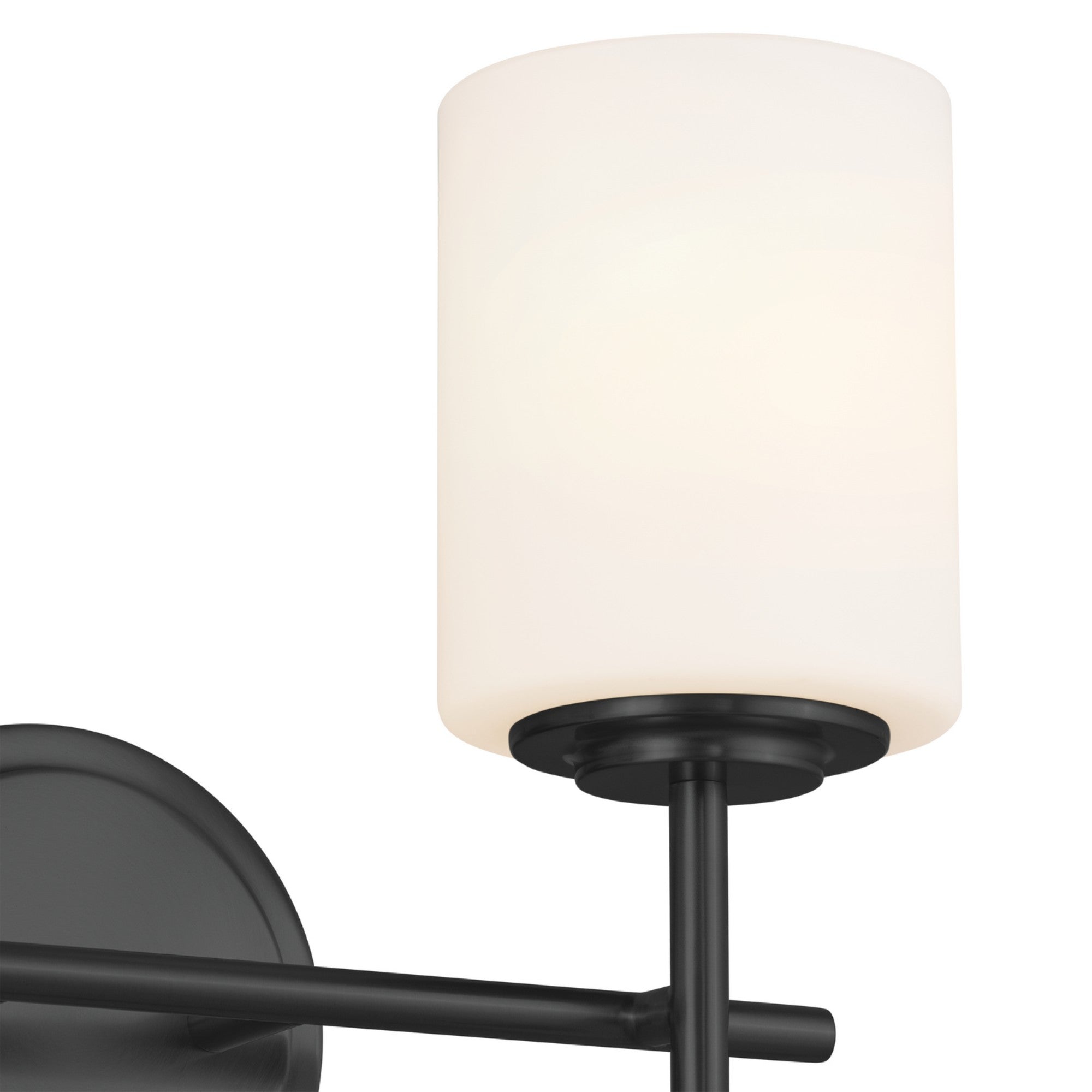 Ali 14" 2-Light Bath Vanity Light, Black Finish - Bees Lighting