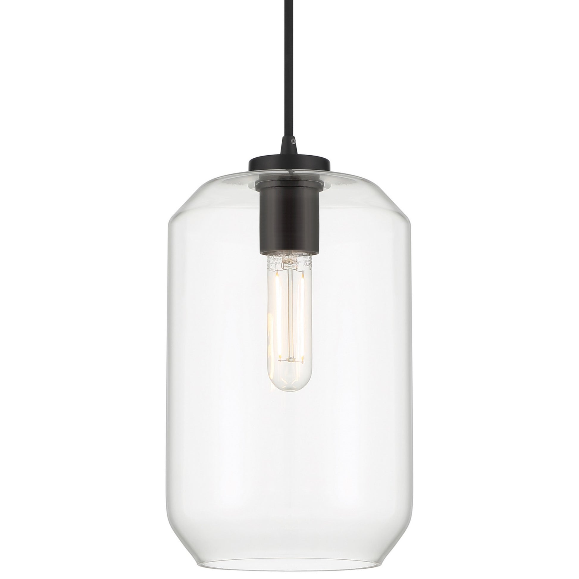 Clarity 12" LED Pendant, Black Finish - Bees Lighting