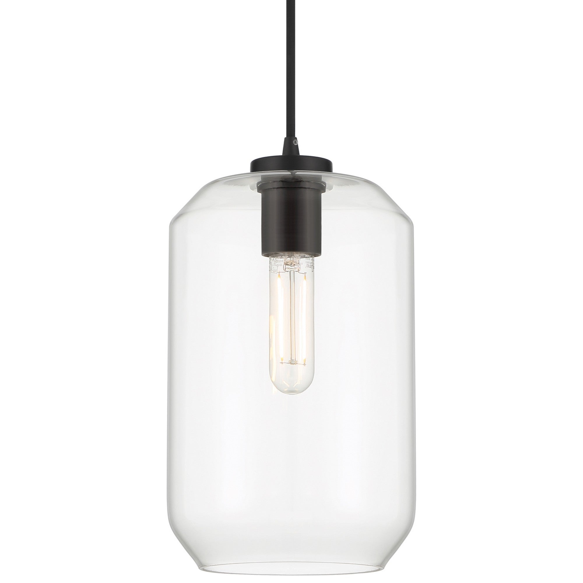 Clarity 12" LED Pendant, Black Finish - Bees Lighting