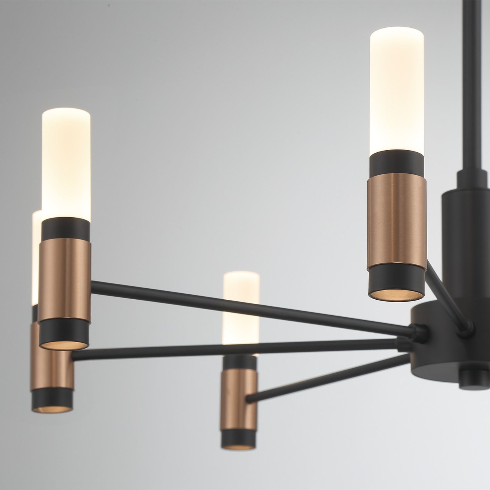 Albany 8-Light 24" LED Chandelier, Black & Brass Finish - Bees Lighting