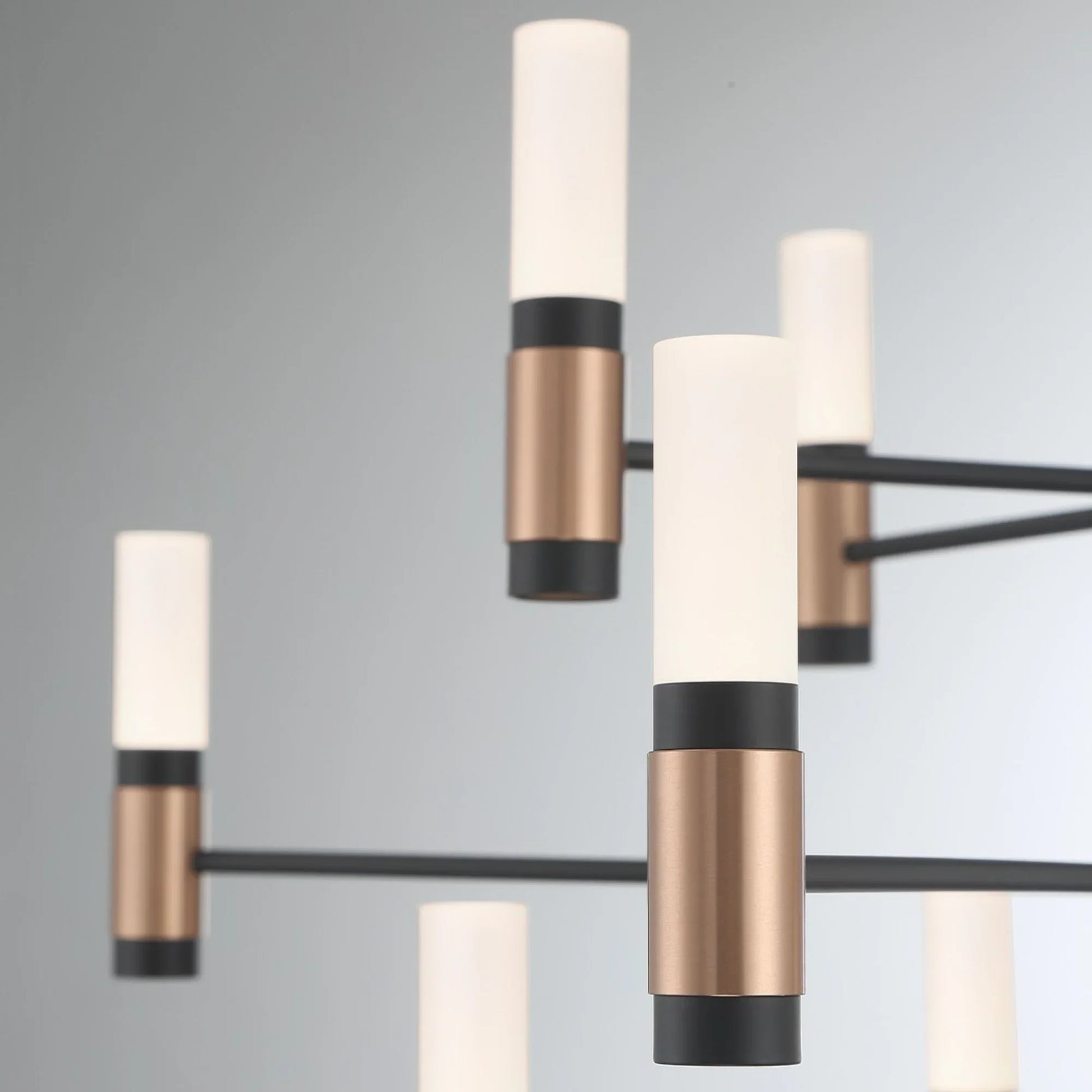 Albany 12-Light 29" LED Chandelier, Black & Brass Finish - Bees Lighting