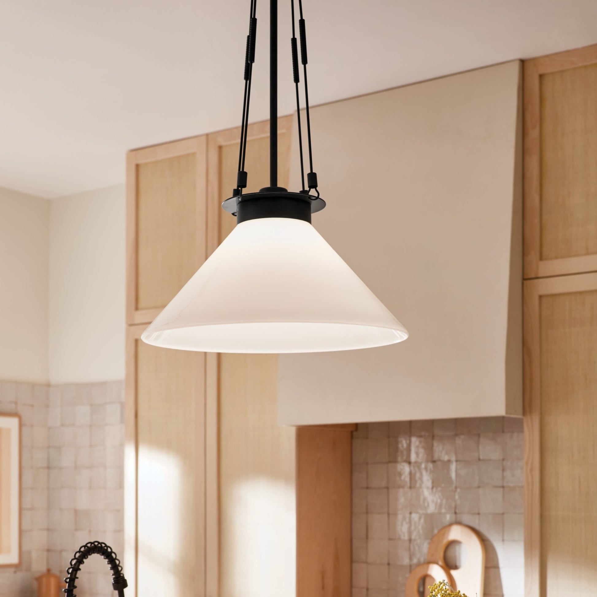 Albers 18" Pendant, Black Finish - Bees Lighting
