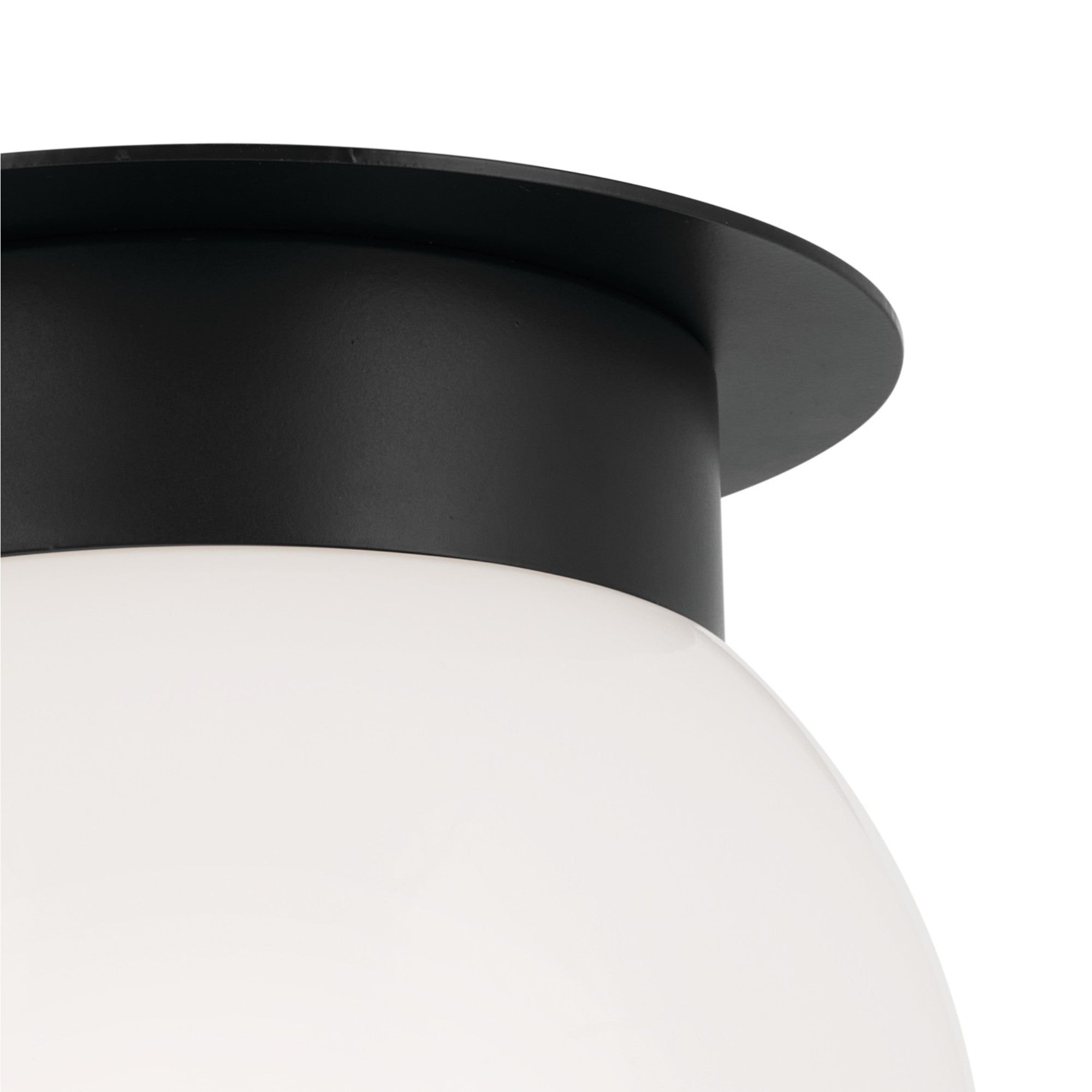 Albers 9" 1-Light Globe Flush Mount Light with Opal Glass, Black Finish - Bees Lighting