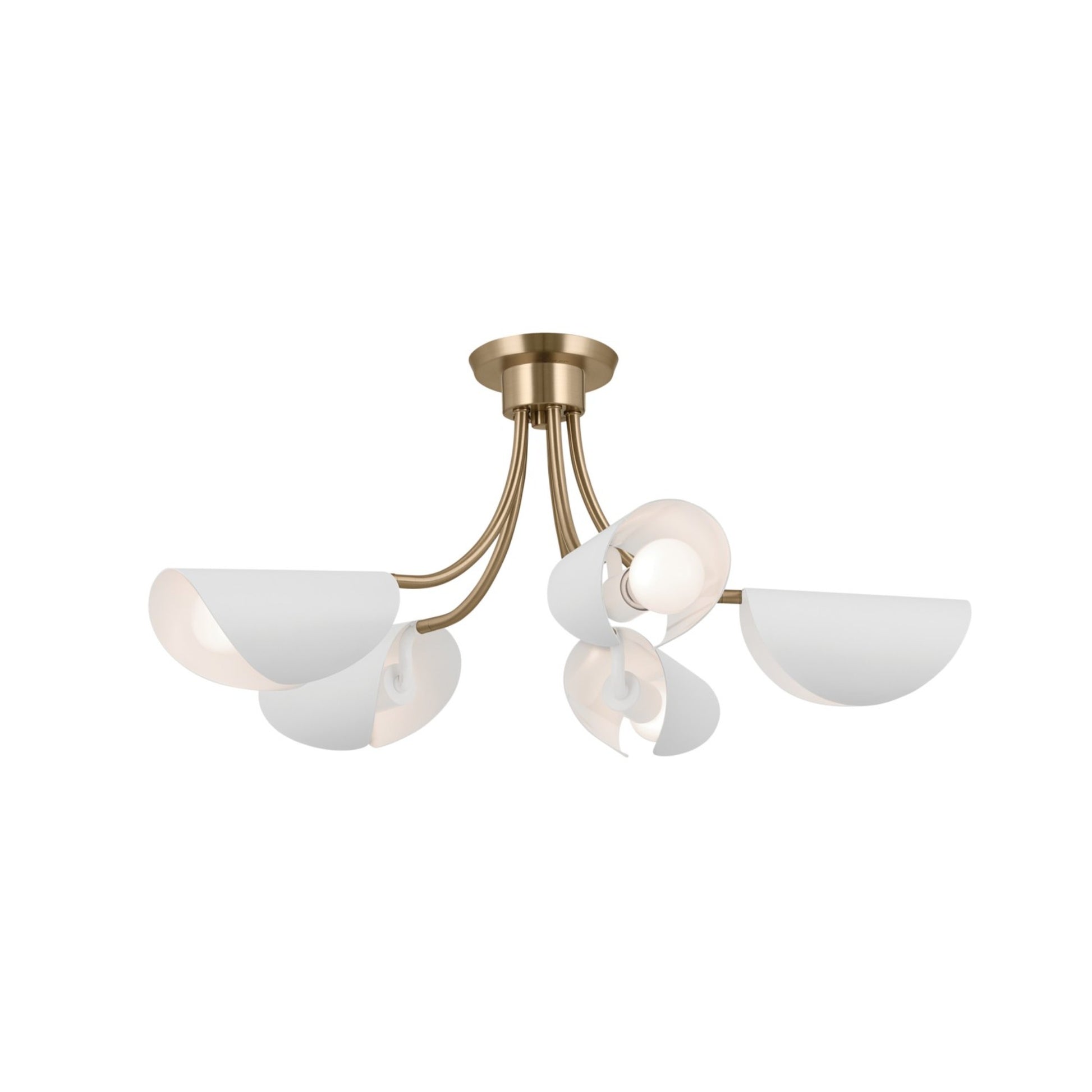 Arcus 29" 5-Light Chandelier, Champagne Bronze & White Finish - Bees Lighting