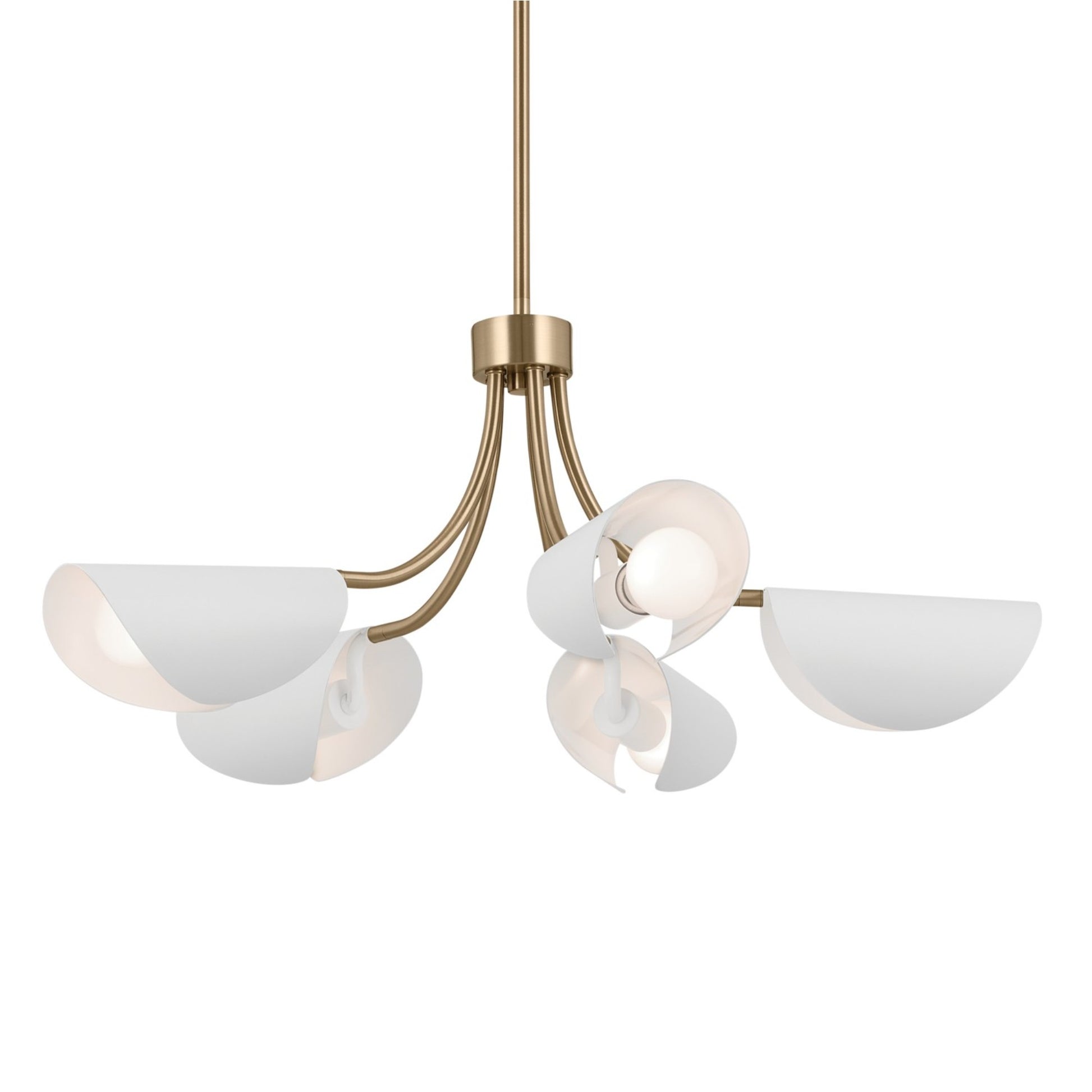 Arcus 29" 5-Light Chandelier, Champagne Bronze & White Finish - Bees Lighting