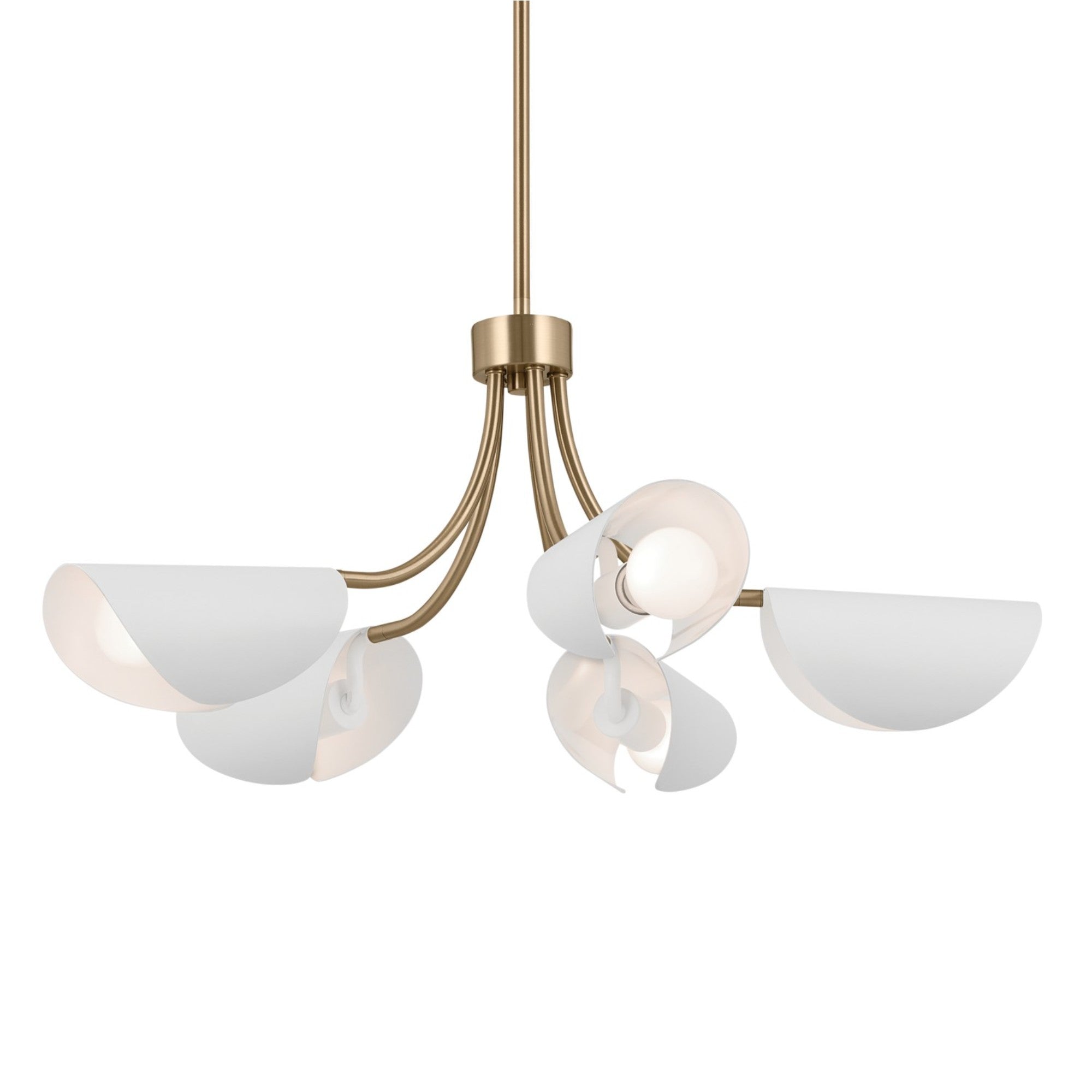 Arcus 29" 5-Light Chandelier, Champagne Bronze & White Finish - Bees Lighting