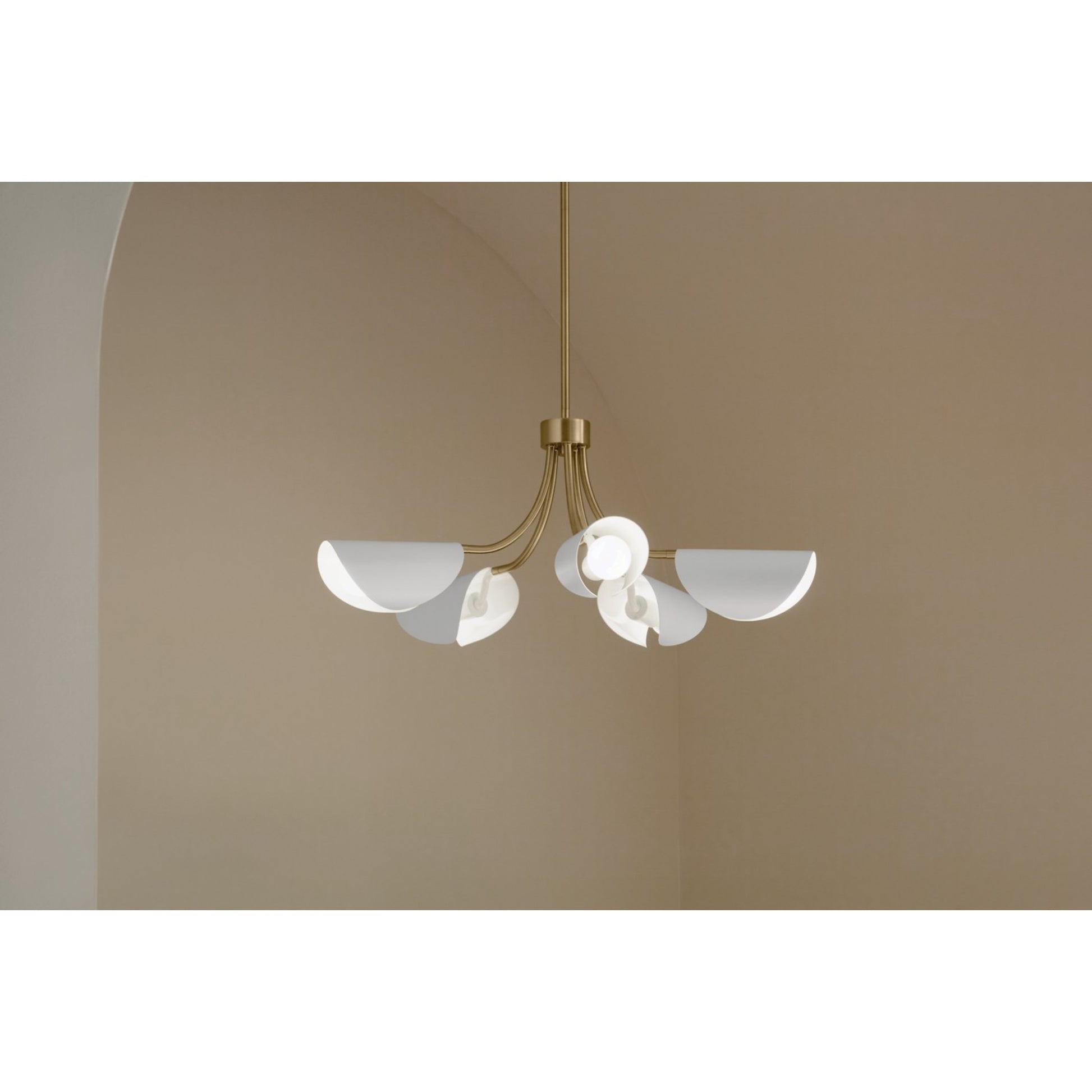 Arcus 29" 5-Light Chandelier, Champagne Bronze & White Finish - Bees Lighting