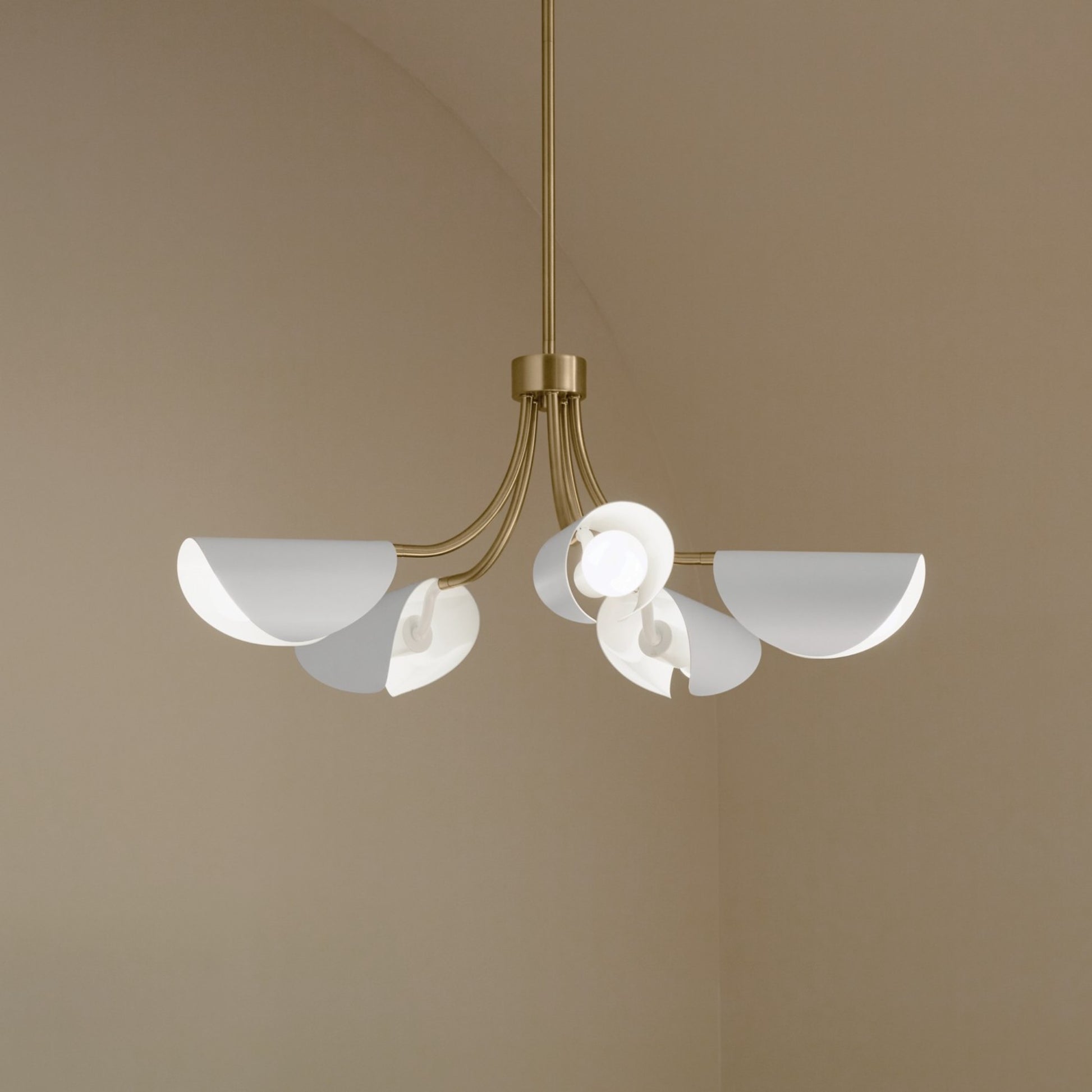 Arcus 29" 5-Light Chandelier, Champagne Bronze & White Finish - Bees Lighting