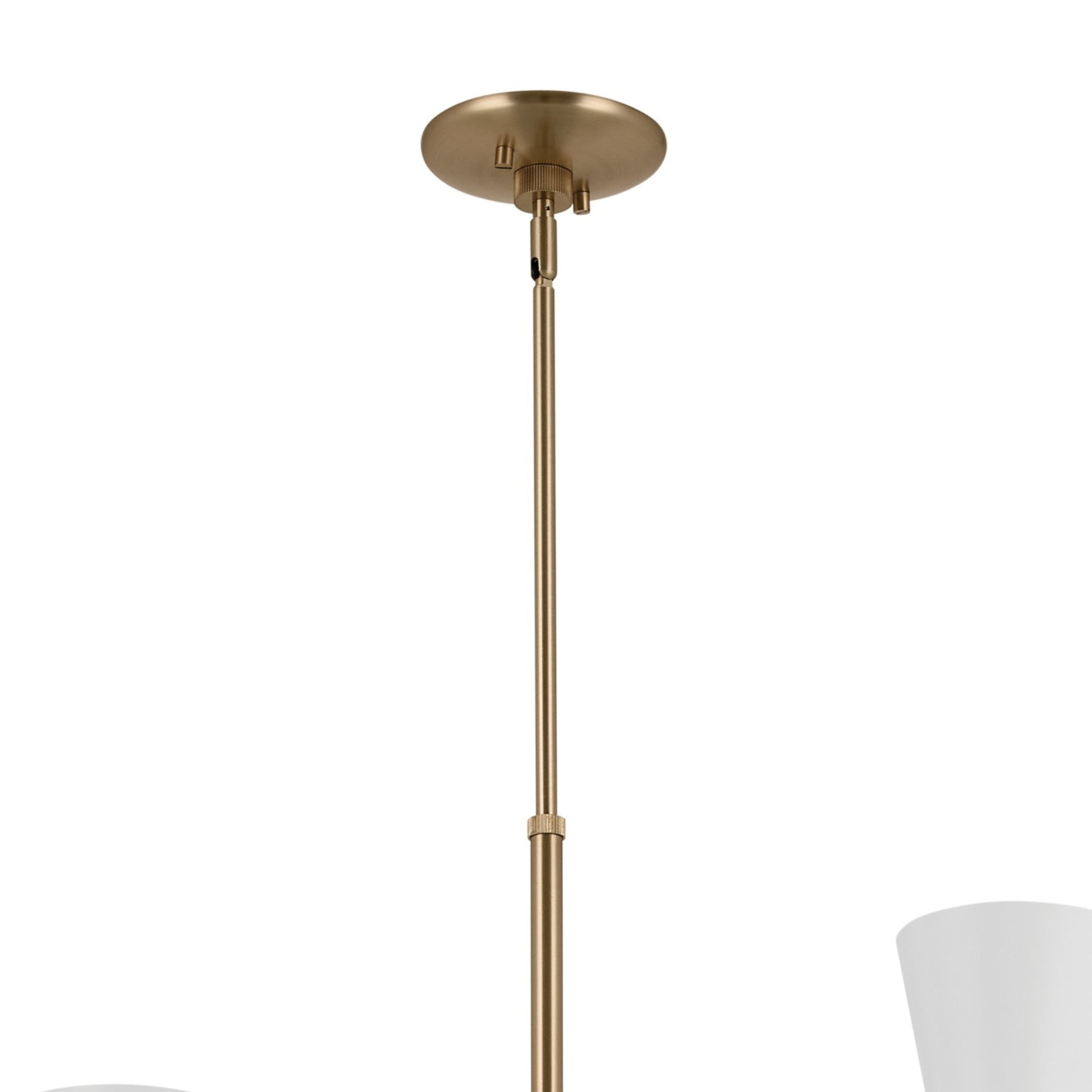 Phix 33" 12-Light Foyer Chandelier, Champagne Bronze & White Finish - Bees Lighting