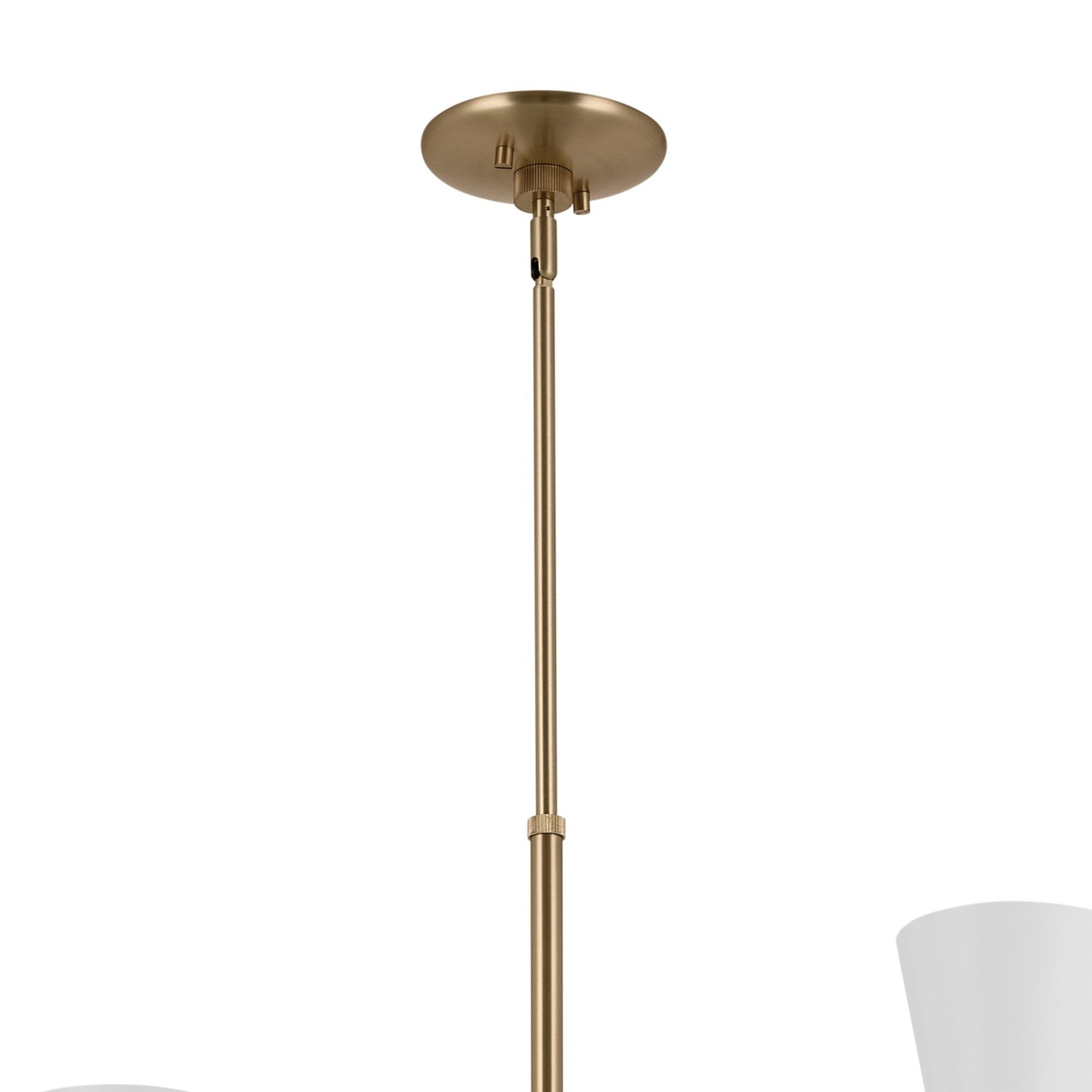 Phix 33" 12-Light Foyer Chandelier, Champagne Bronze & White Finish - Bees Lighting