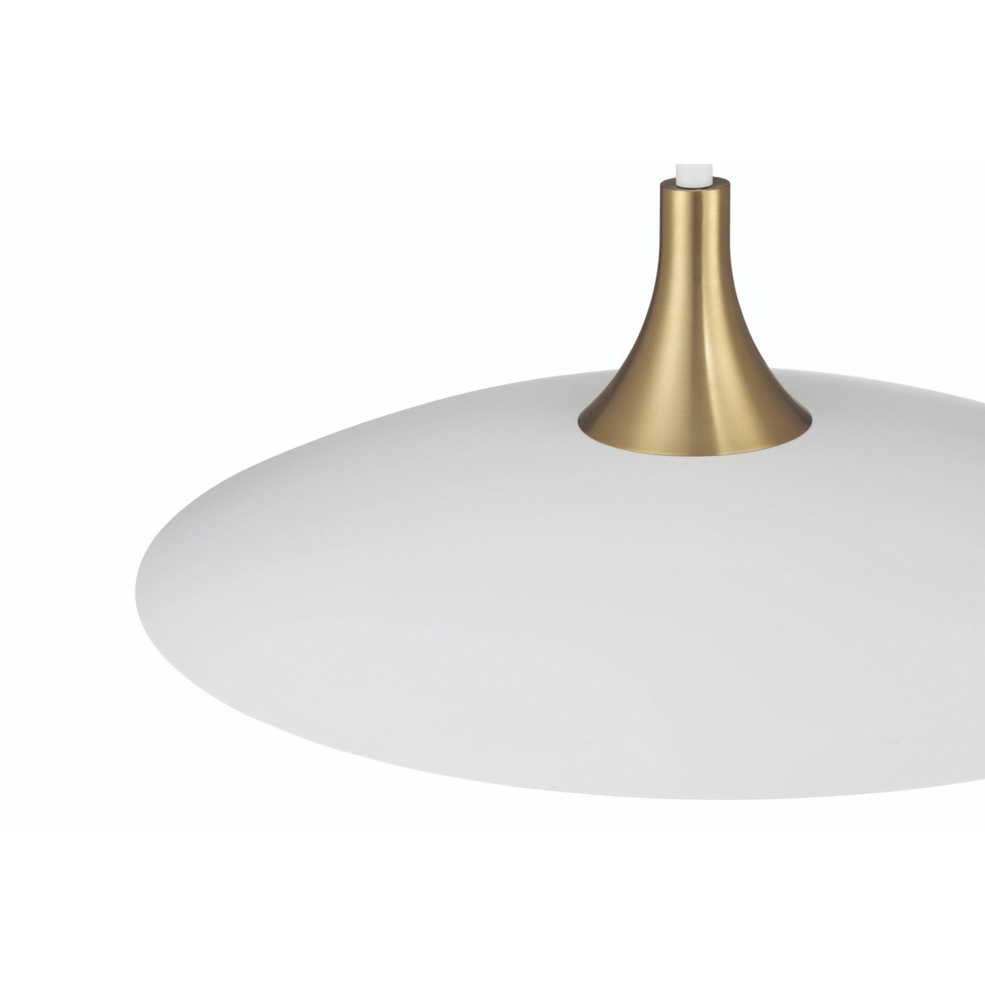 Welsh 24" LED Pendant, White Finish - Bees Lighting