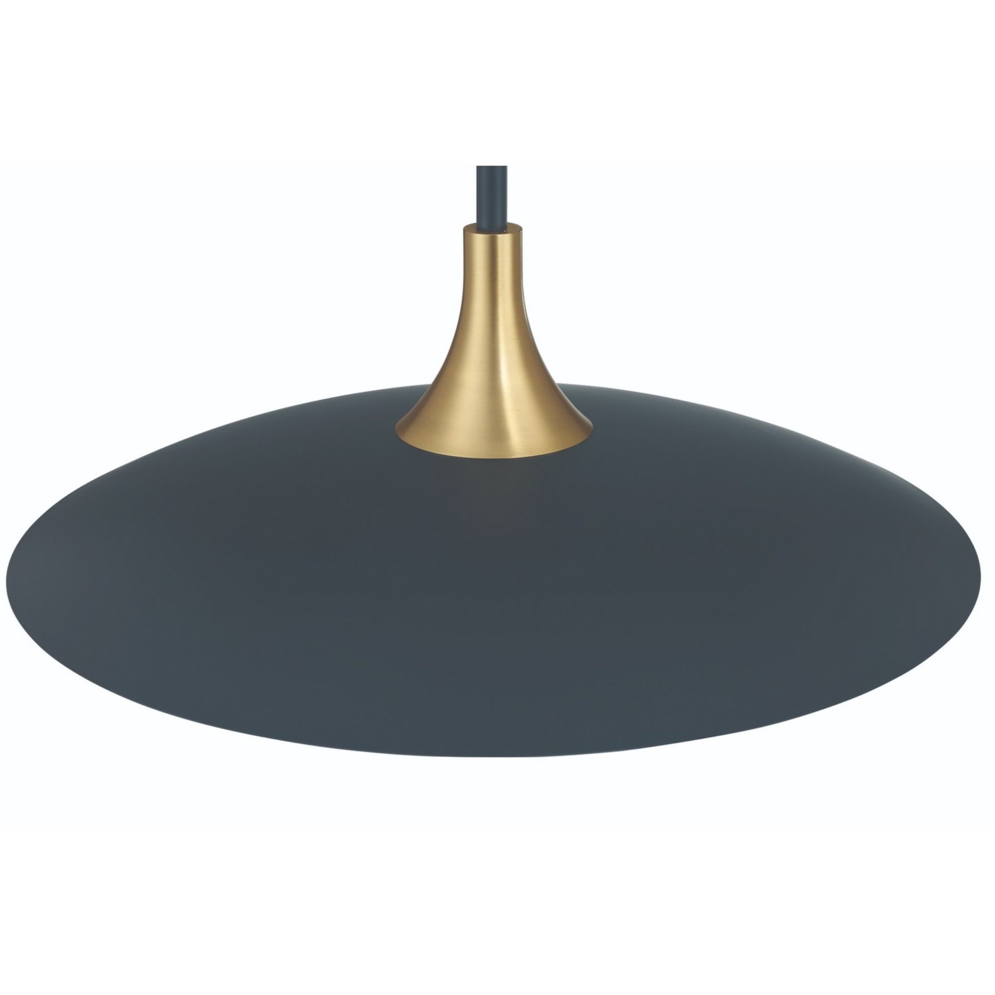 Welsh 24" LED Pendant, Blue Finish - Bees Lighting