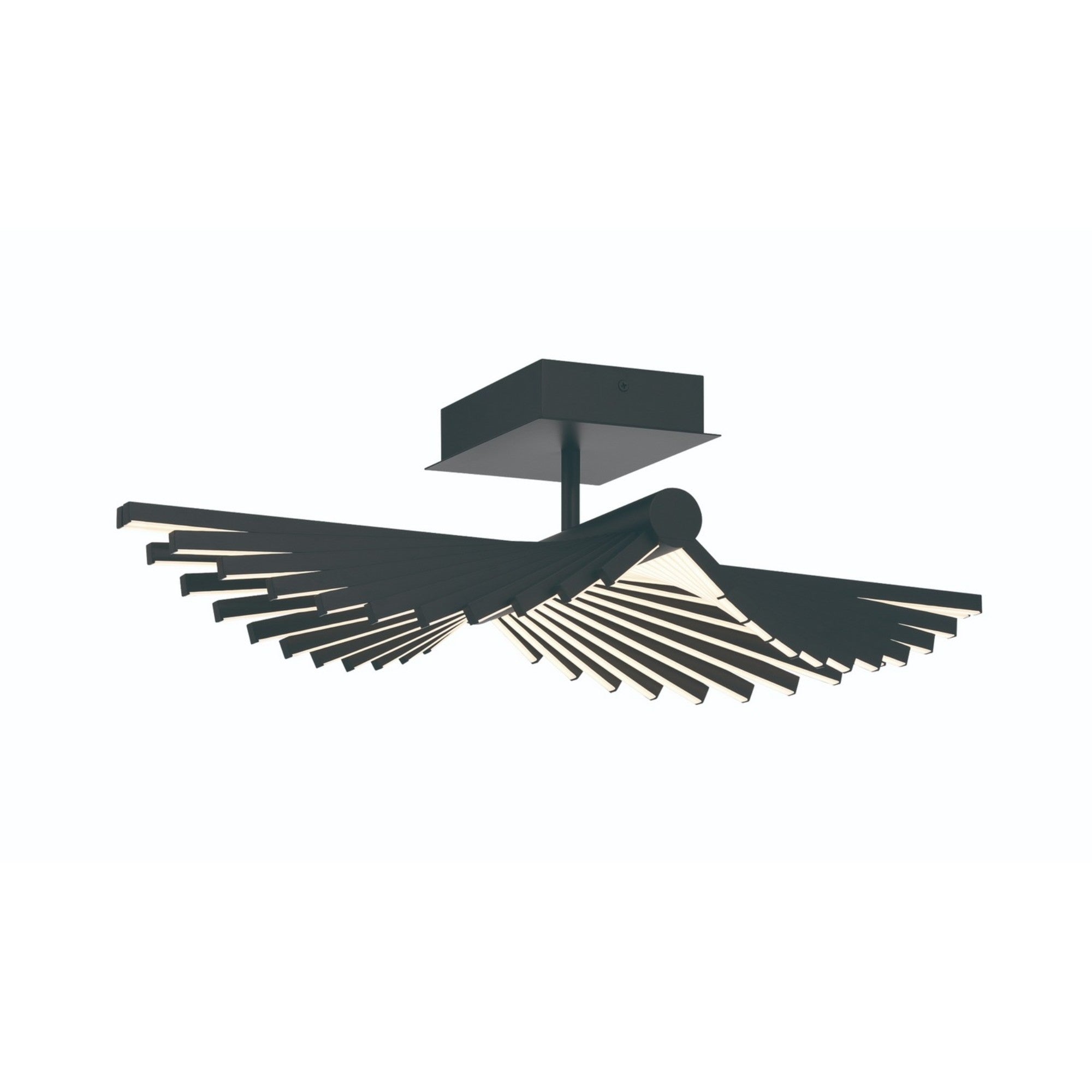 Seraph 25" LED Semi-Flush Mount, Black Finish - Bees Lighting