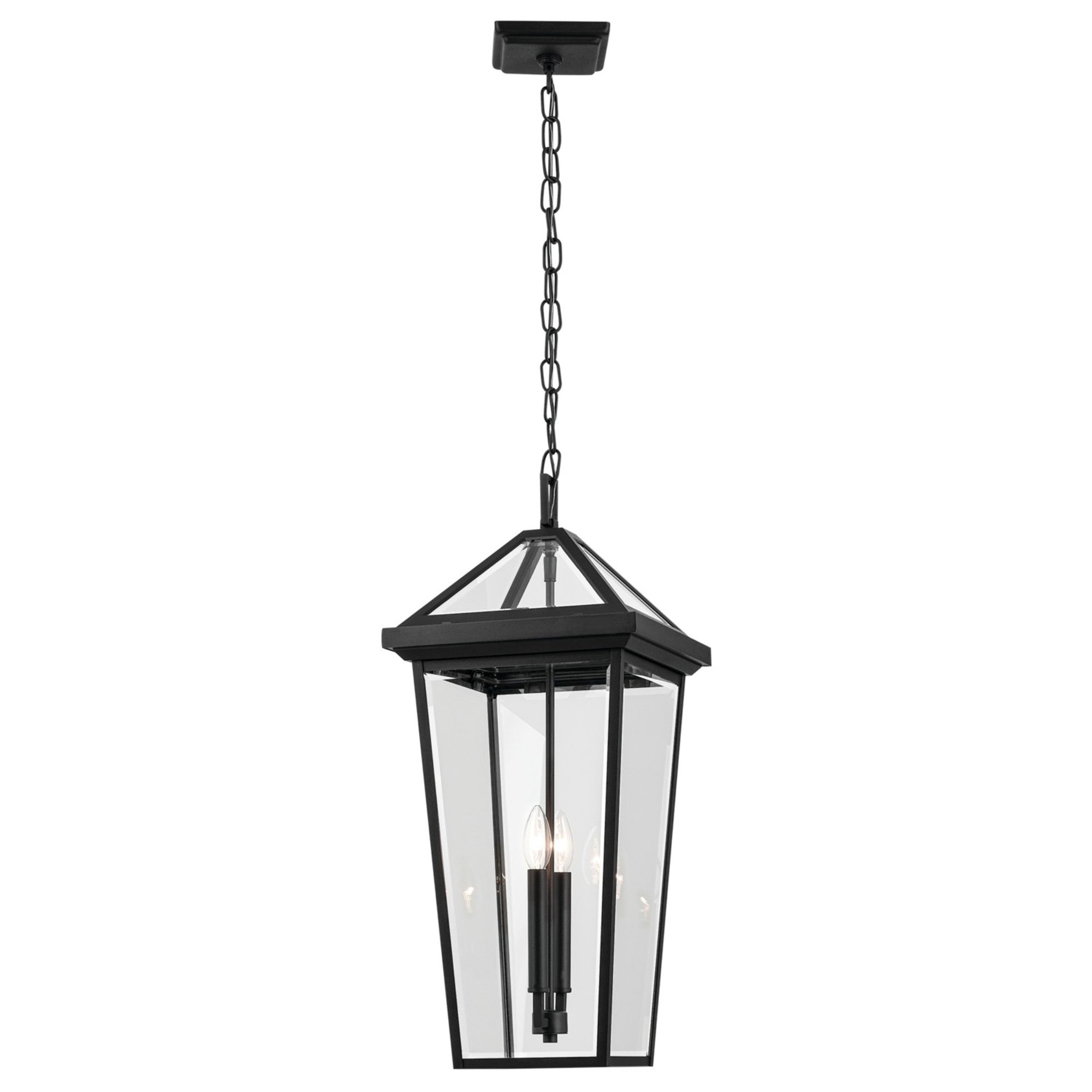Regence 26" 2-Light Outdoor Pendant, Textured Black Finish - Bees Lighting