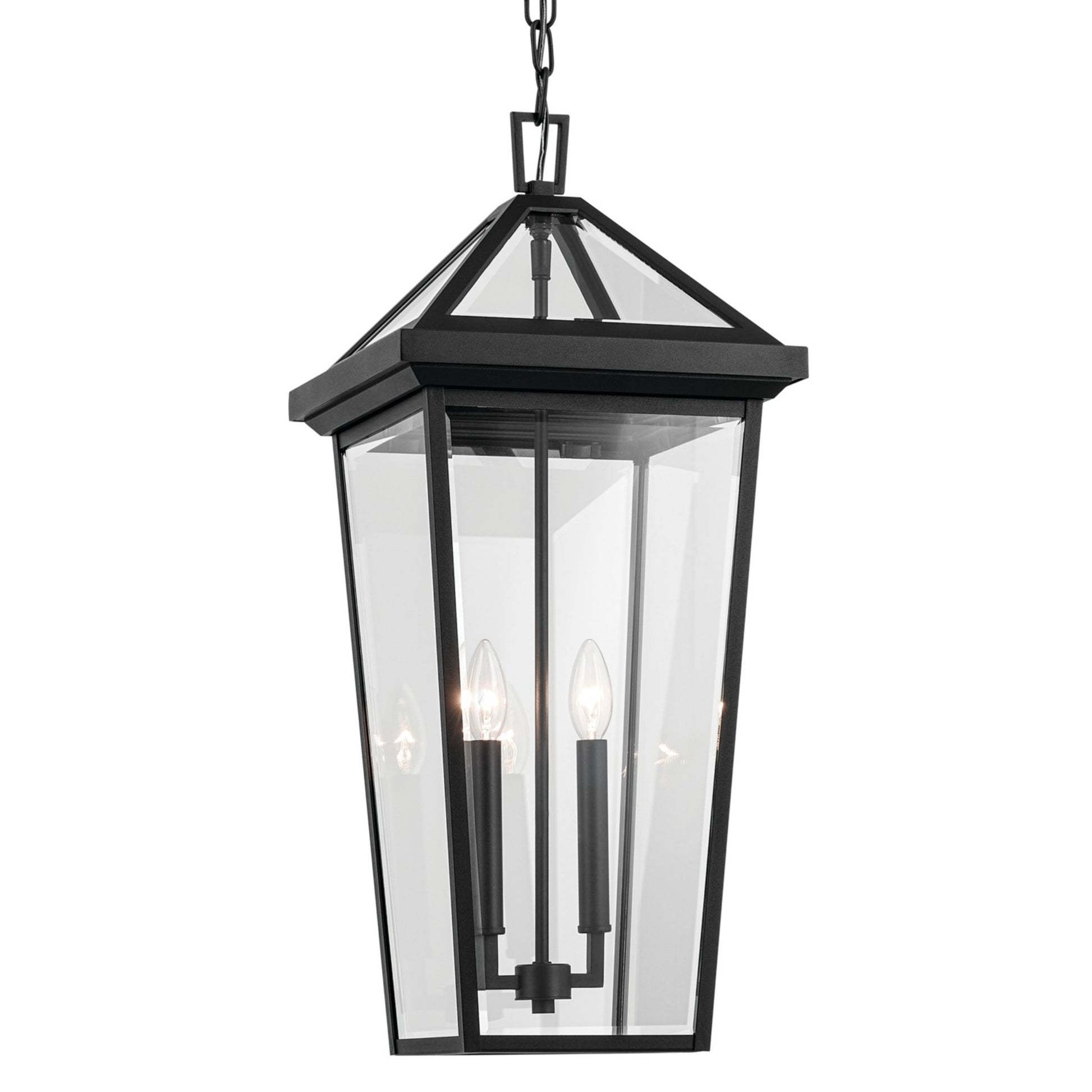 Regence 26" 2-Light Outdoor Pendant, Textured Black Finish - Bees Lighting